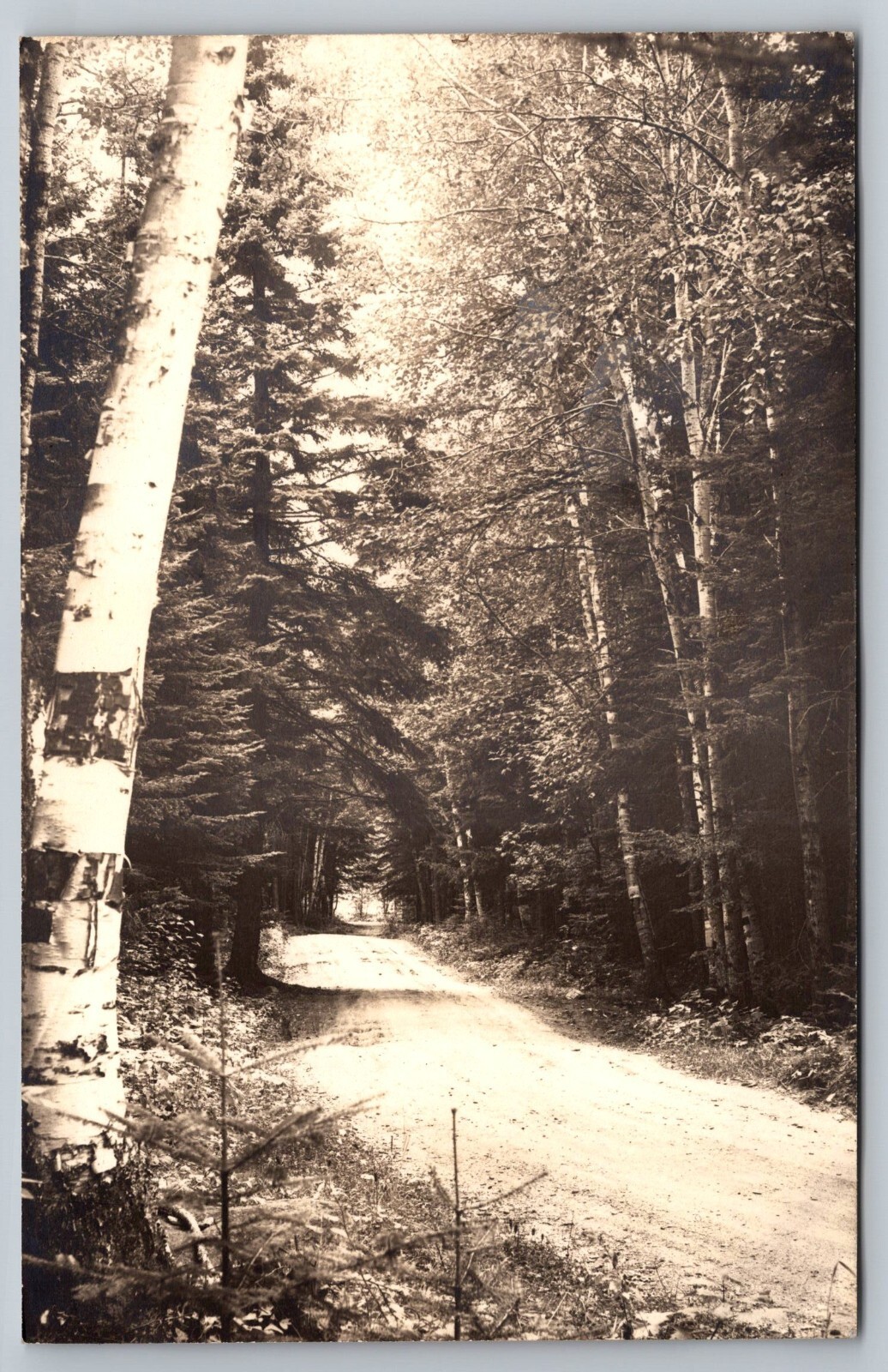 Road to Henderson\'s Camps. Big Wood Lake Back of Cottages Jackman Maine Postcard Road to Henderson\'s Camps. Big Wood Lake Back of Cottages Jackman Maine Postcard