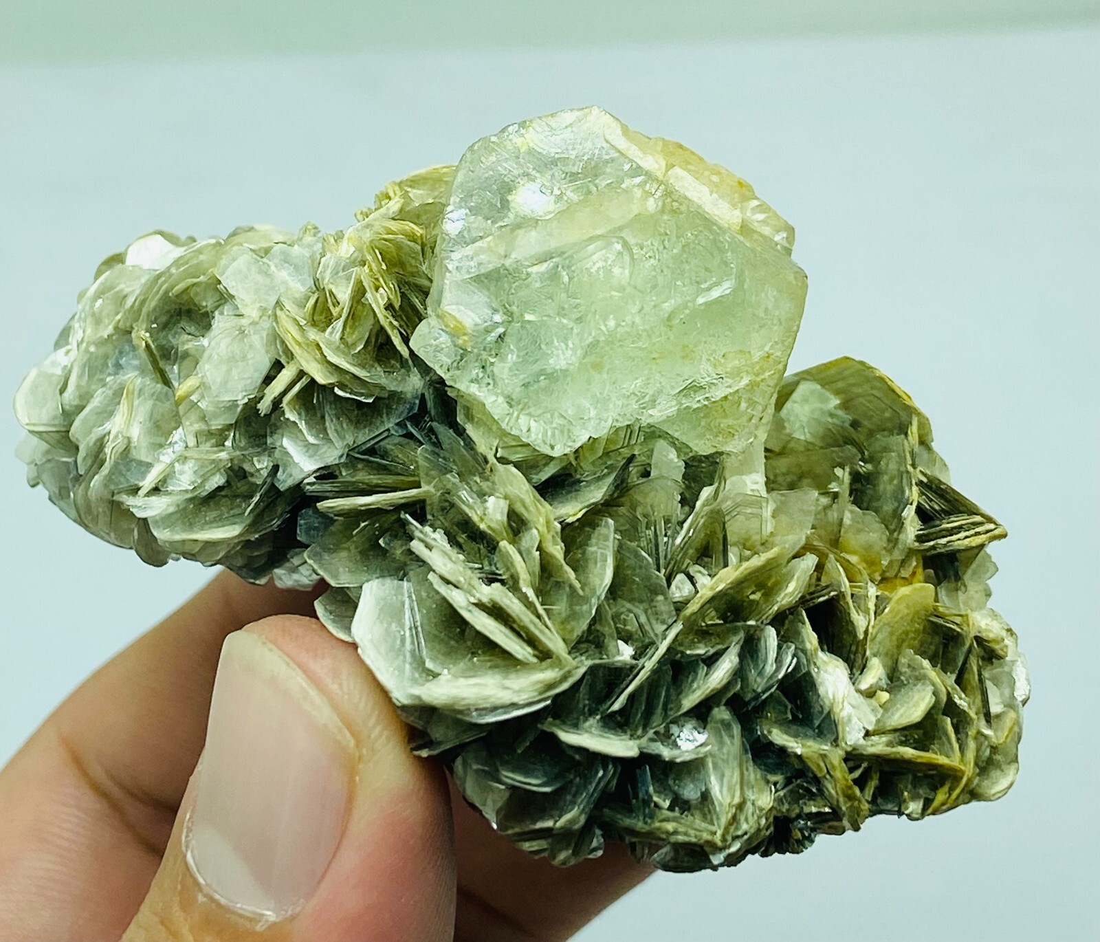 Translucent light green classic Fluorite With Mica@skardu