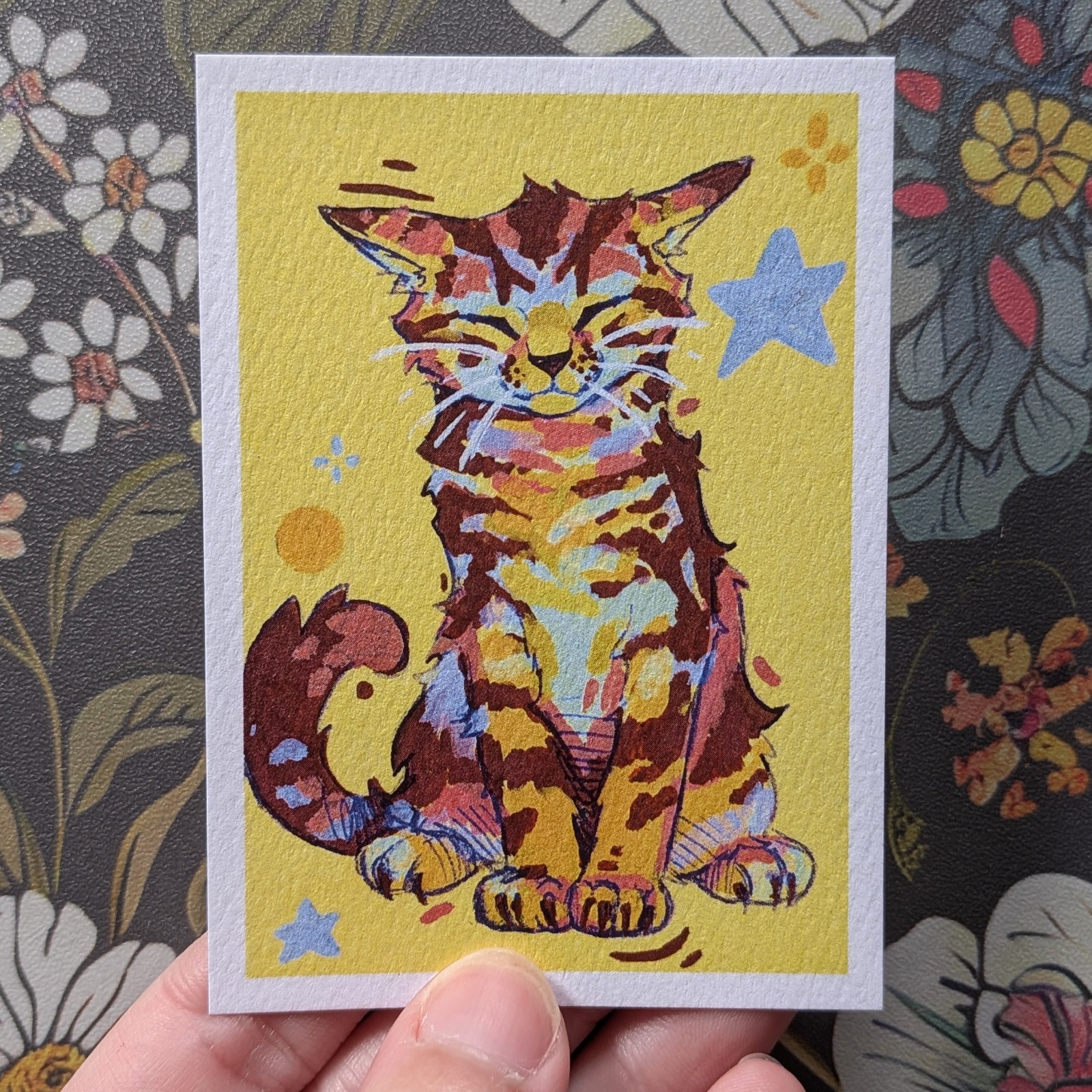 ACEO Print Star Kitty #1 by TheFrogPrincess