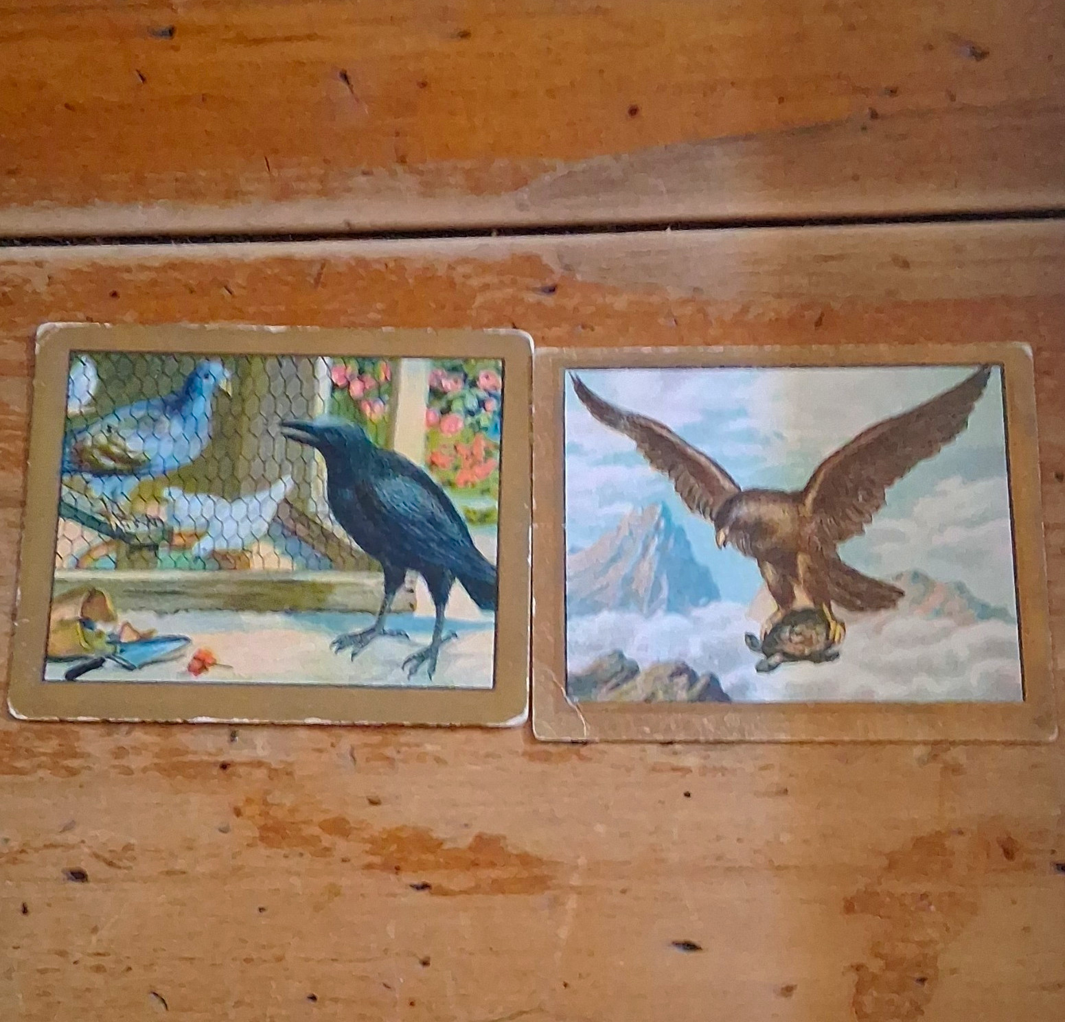 Turkish Trophies Cigarettes Fable Series 2 Tobacco Cards Lot 2 Dove & Crow