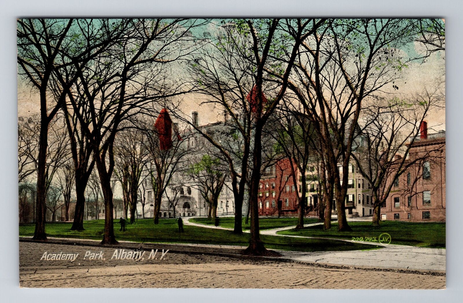 Albany NY-New York, Academy Park, Antique Vintage Souvenir Postcard