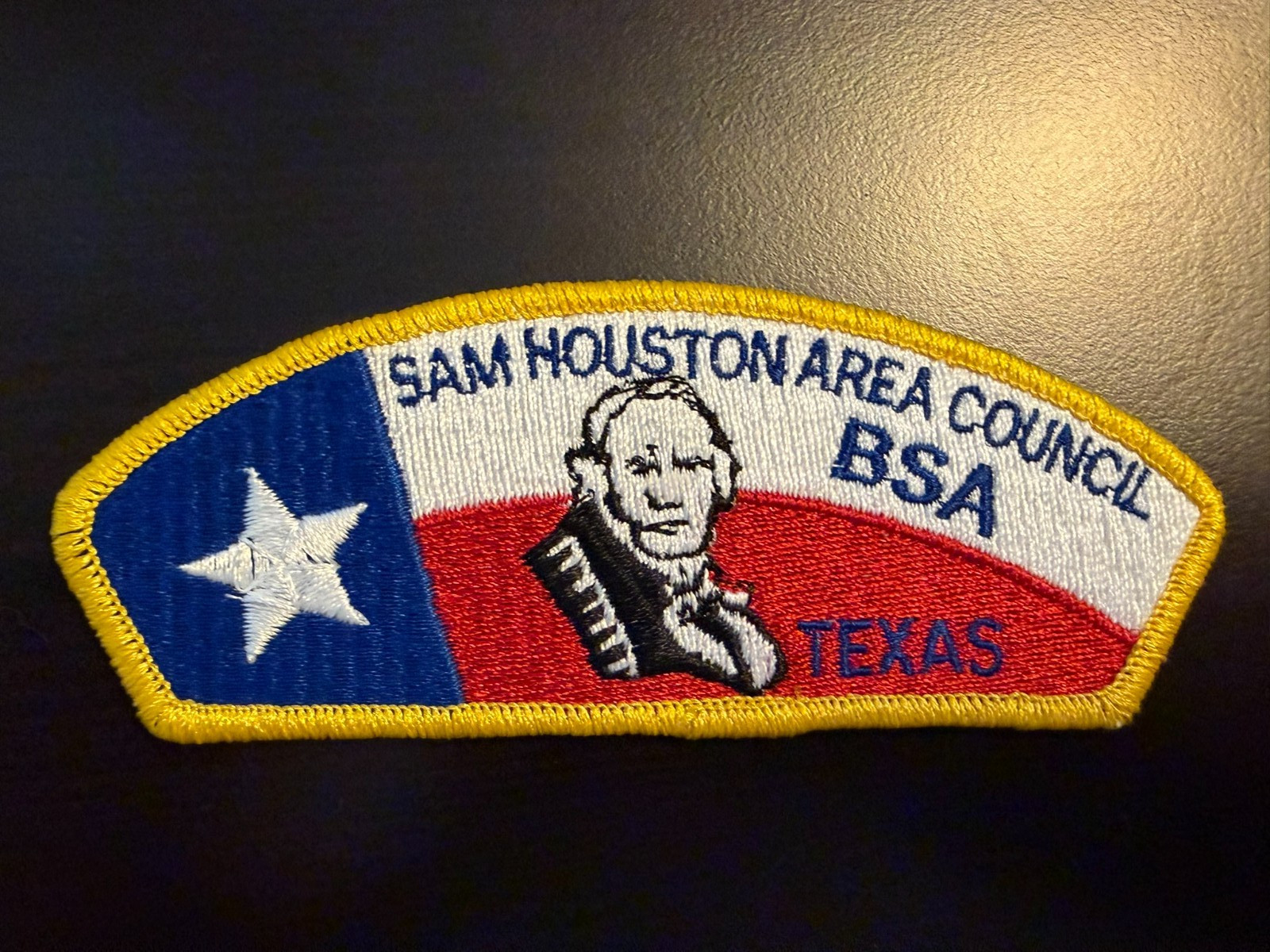 BSA San Houston Area Council CSP