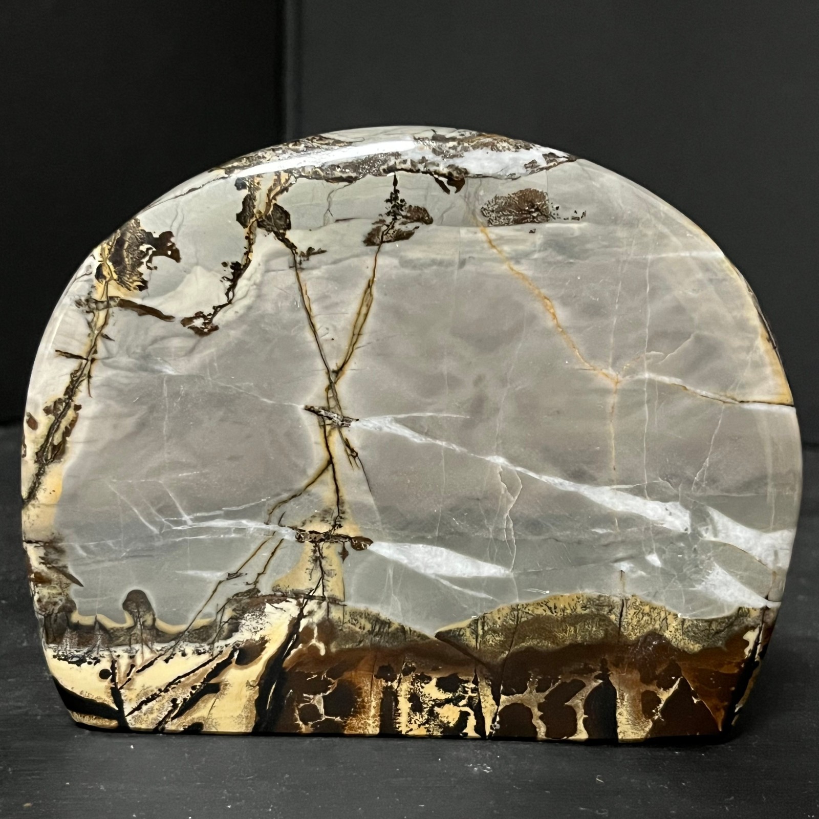 216G Beautiful Natural Chinese Dendritic Limestone Picture Stone Guohua  A61