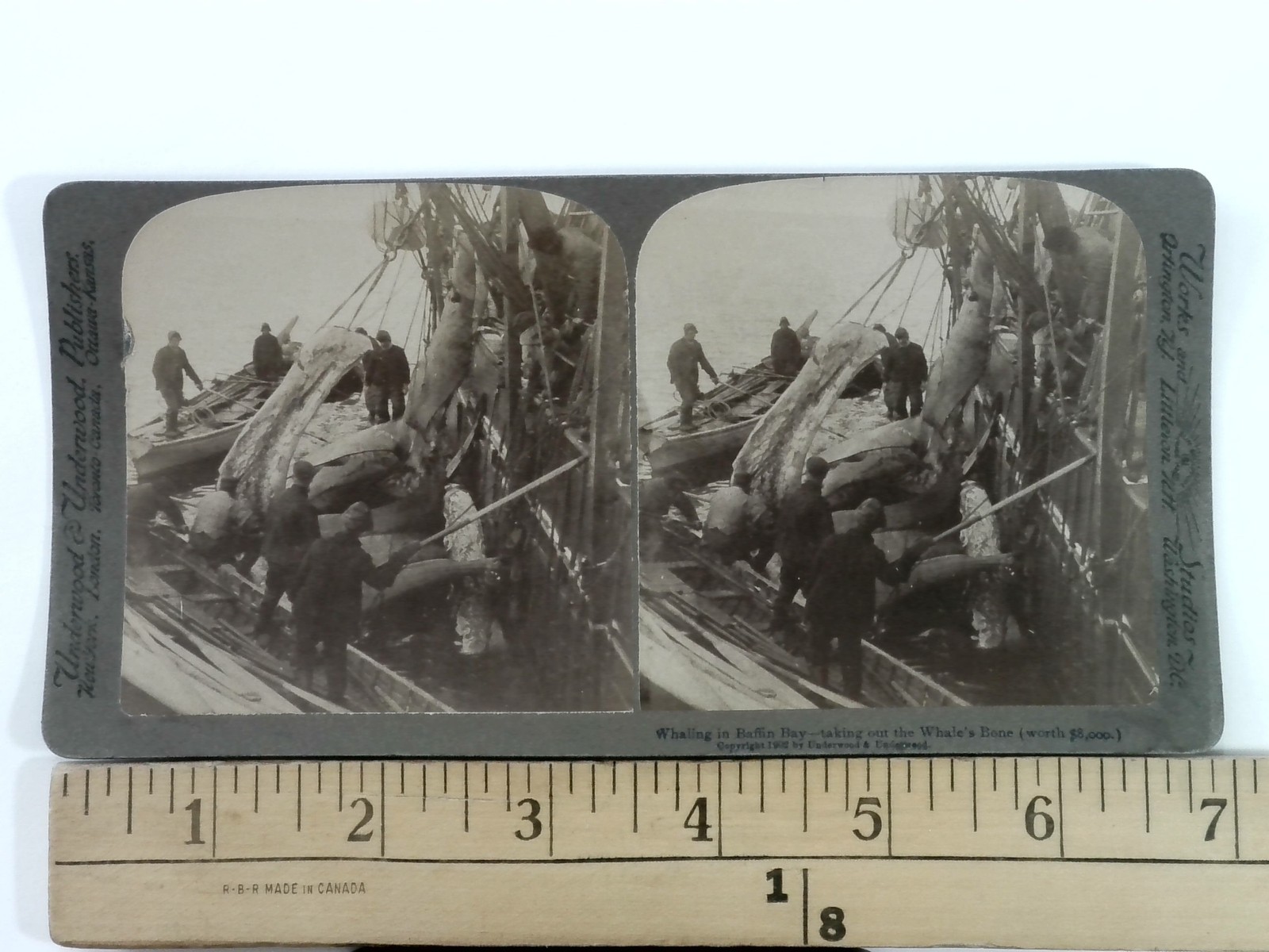 Whaling in Baffin Bay Stereoview Underwood & Underwood 1902 Curved Mount Arctic Whaling in Baffin Bay Stereoview Underwood & Underwood 1902 Curved Mount Arctic