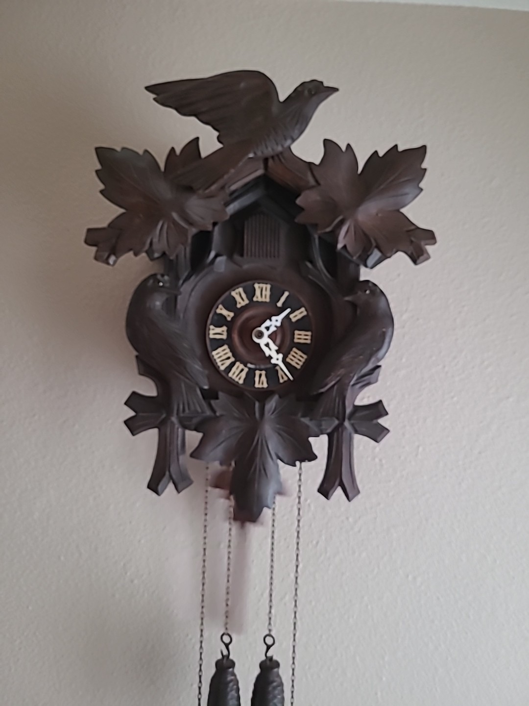 Vintage Cuckoo Clock Made in Germany Bird & Maple Leaves-Works, Has Issues
