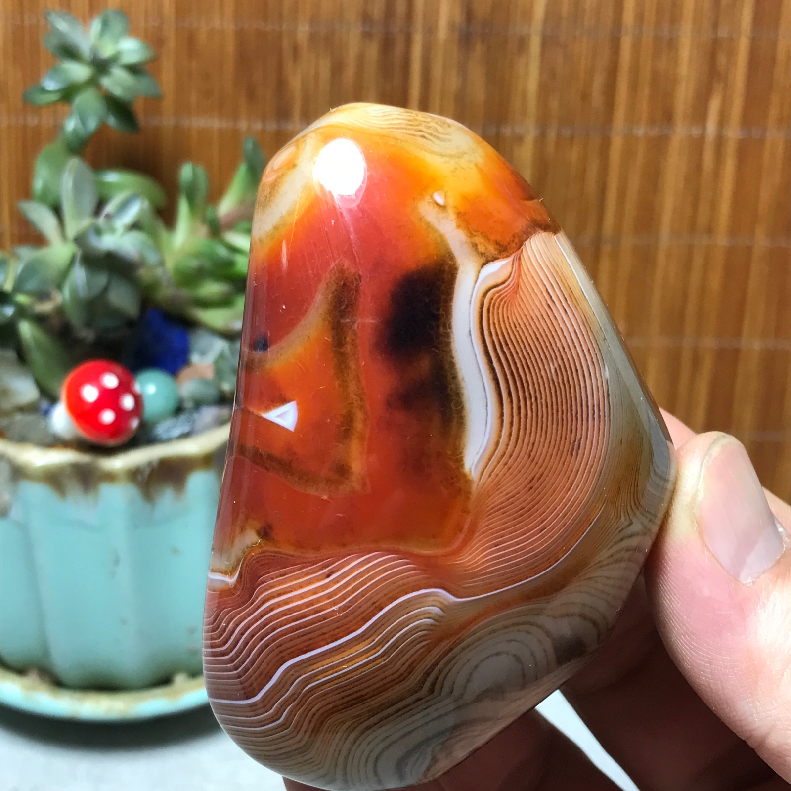 Natural Red Banded Agate Palm Stone Polish Crystal Healing Collection 213g A7782