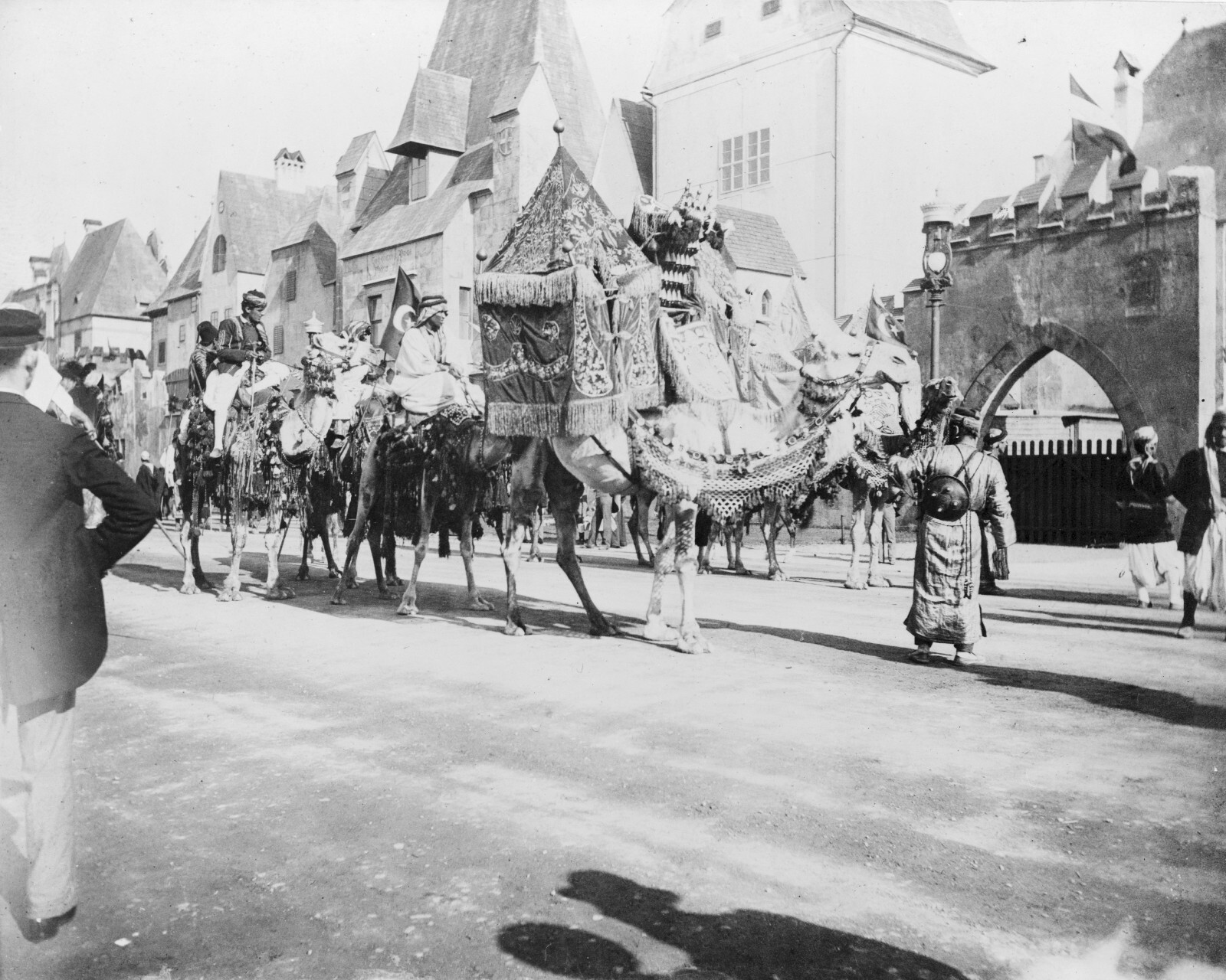 1893 Chicago World's Fair Arabian Circus Parade Camel Procession 8x10 Photo