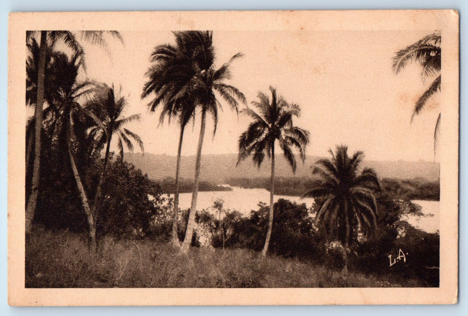 New Hebrides Postcard Lagoon Trees River View c1930\'s Vintage Unposted