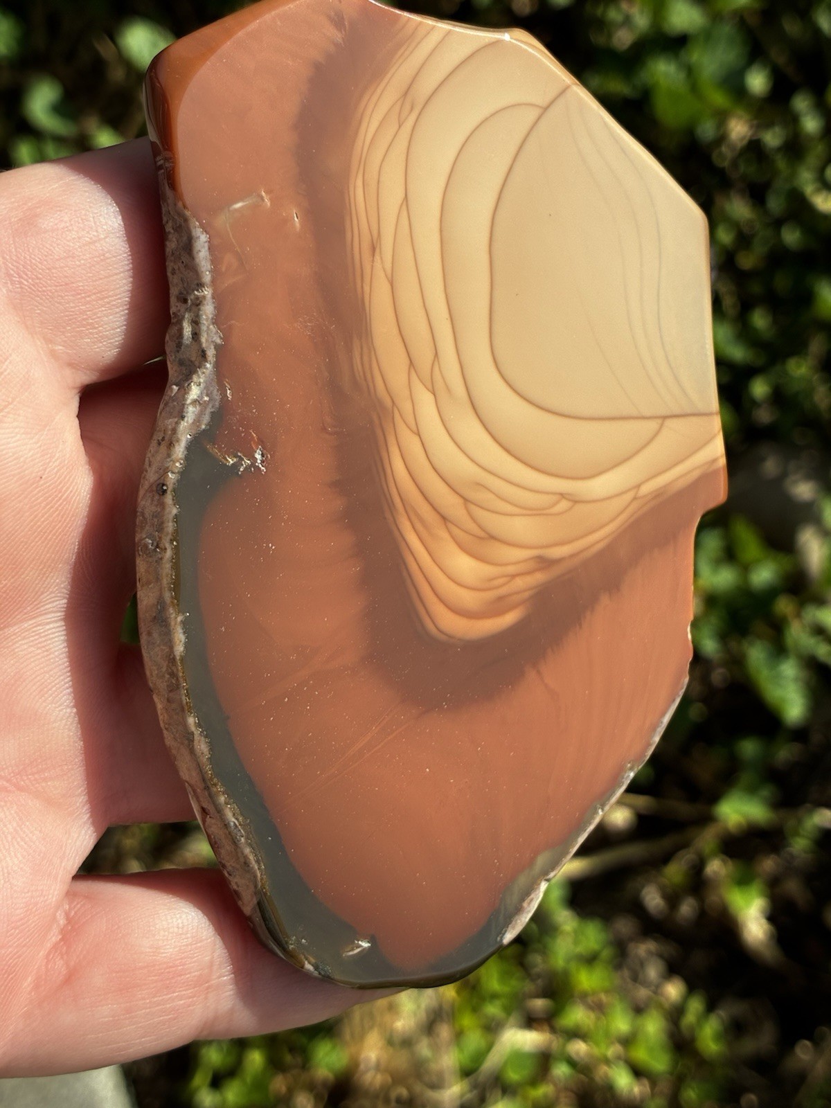 Large Bruneau Jasper Slab- Polished On Both Sides 100 X 65 mm