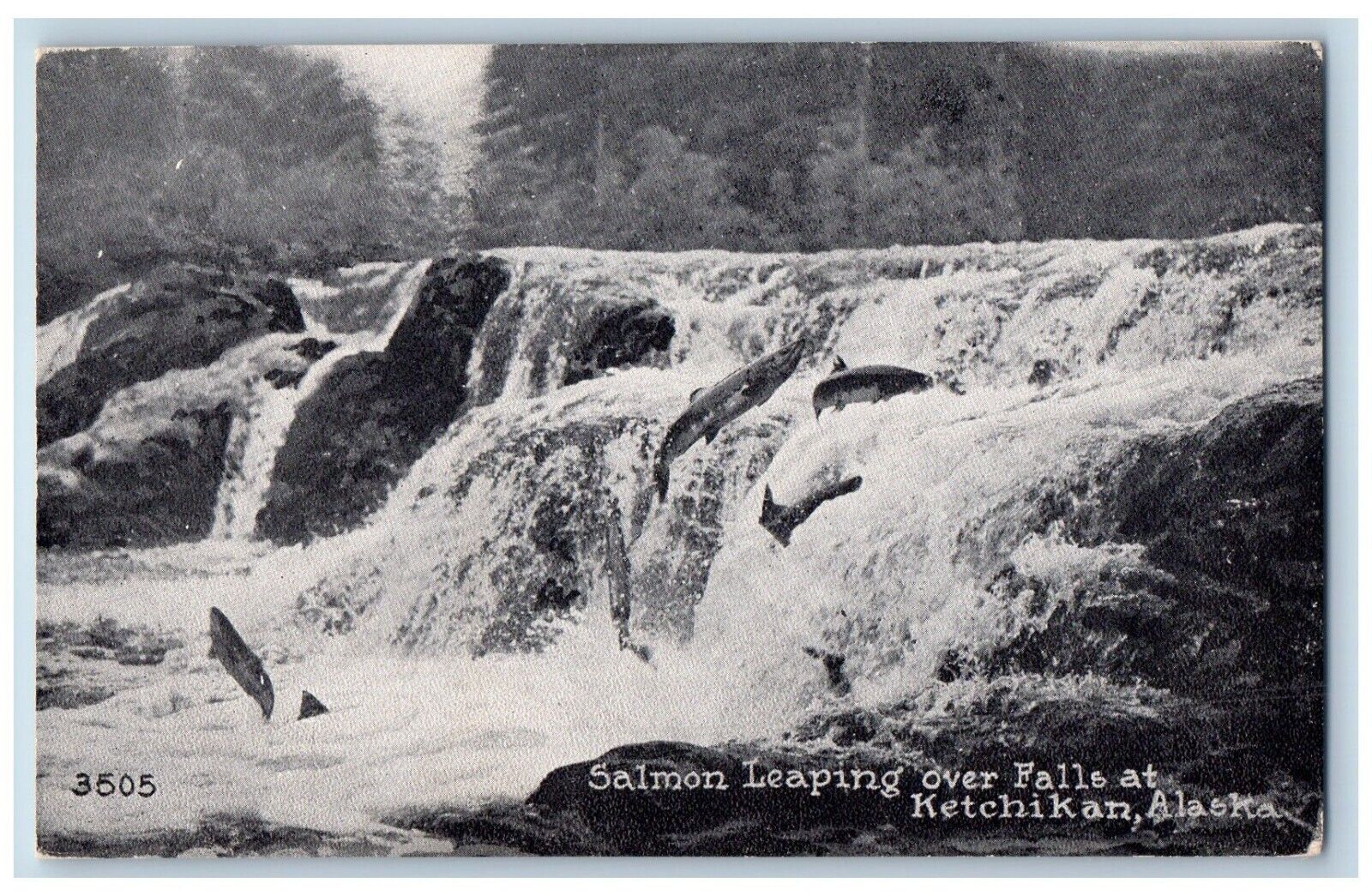 Ketchikan Alaska Postcard Salmon Leaping Over Falls Lake c1910 Vintage Antique