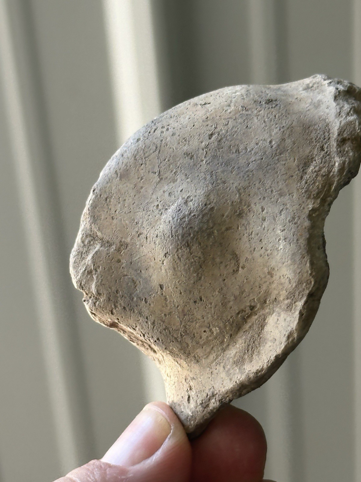 NICE FISH HEAD EFFIGY FROM A POTTERY BOWL, BRADLEY SITE, CRITTENDEN CO. ARKANSAS