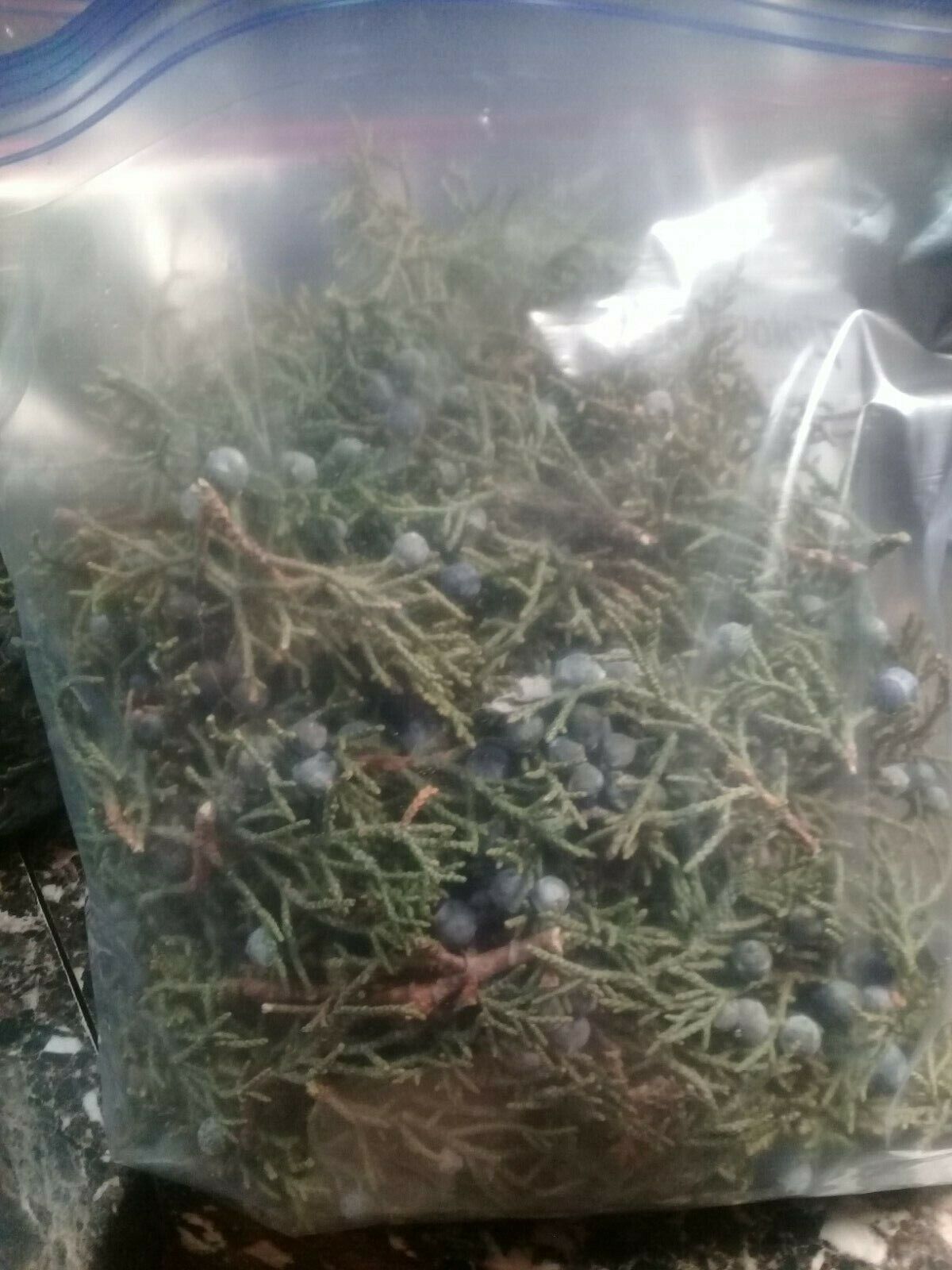 1 POUND ORGANIC  FRESH JUNIPER  LEAVES  WITH BERRIES 