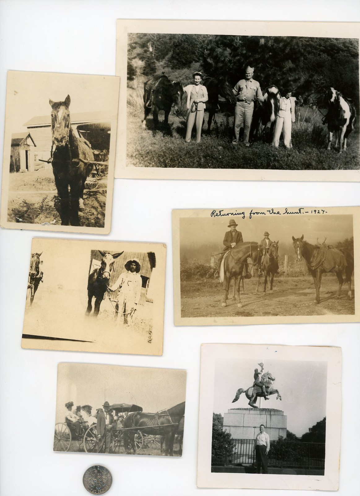 (12) Vintage photo lot / HORSES - FARM & RANCH - Plowing Riding COWBOYS Ranchers
