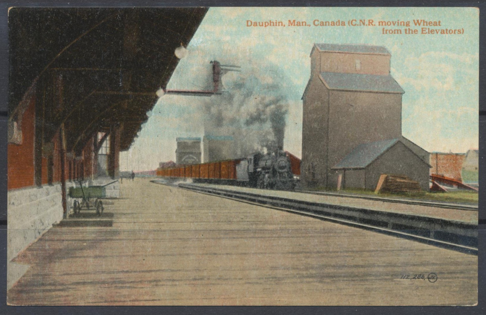 1900s Canada ~ Dauphin, Manitoba ~ C.N.R. Train moving Wheat from the Elevators