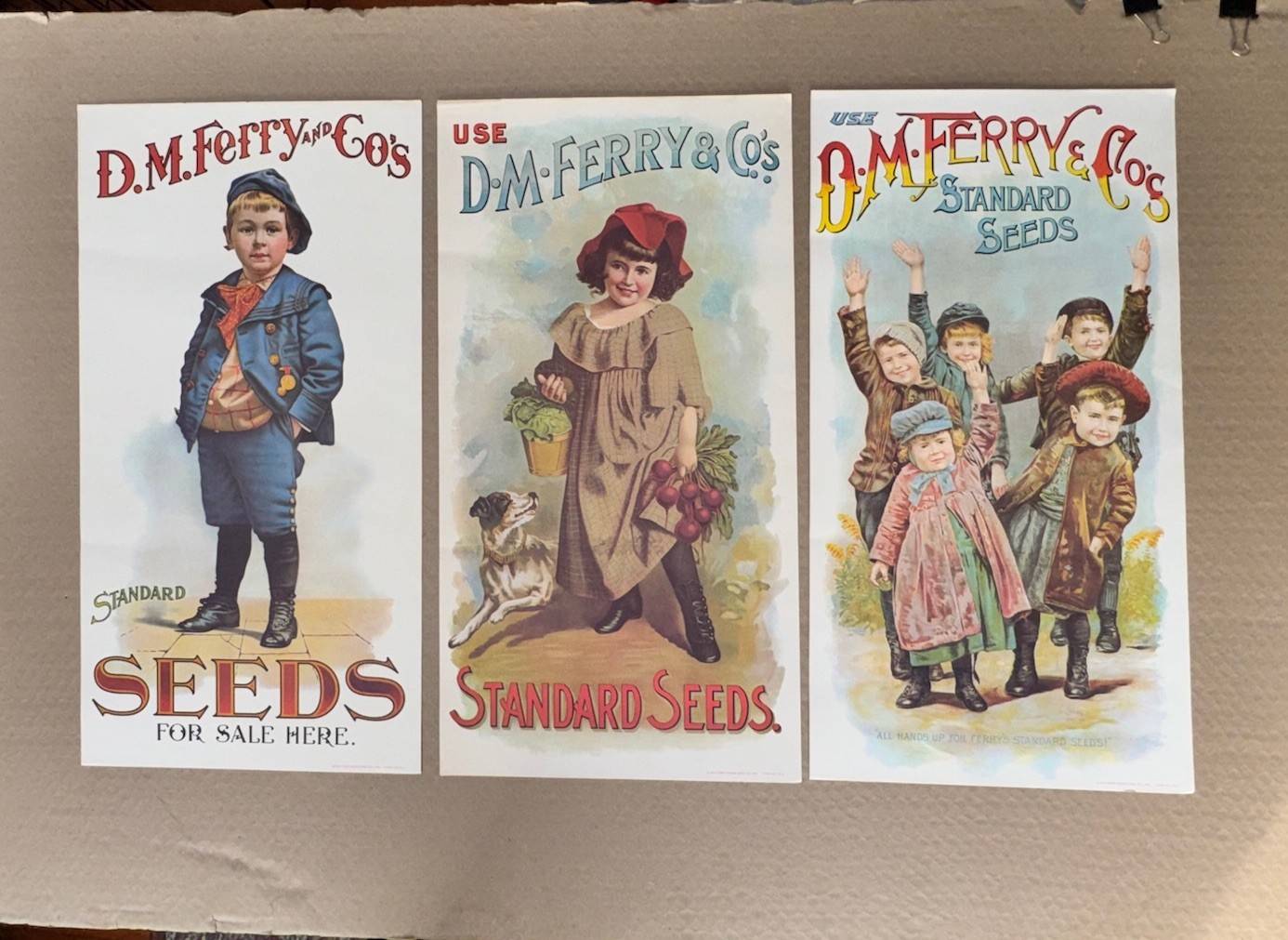 Vintage D.M. Ferry & Co. Standard Seeds Advertising Posters 1960's