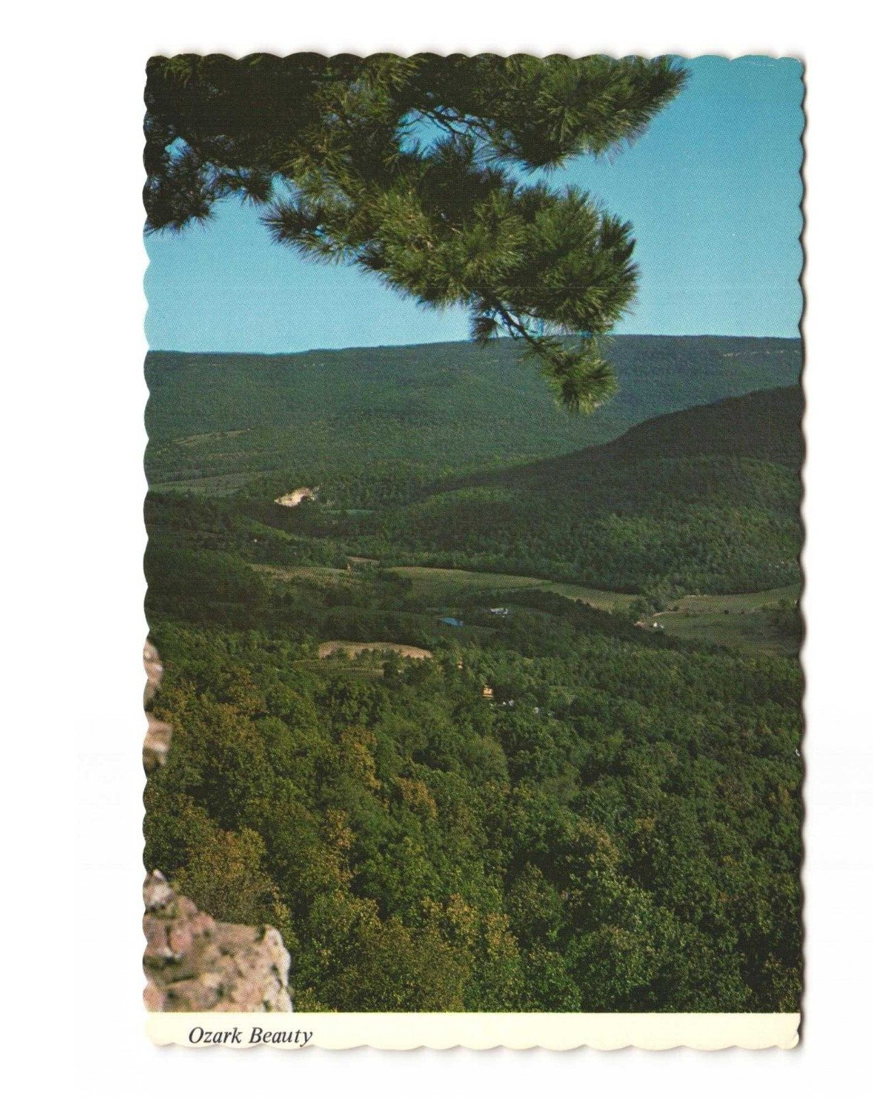 Ozark Beauty - Hills and Mountains in the Ozarks Postcard Unposted 4x6