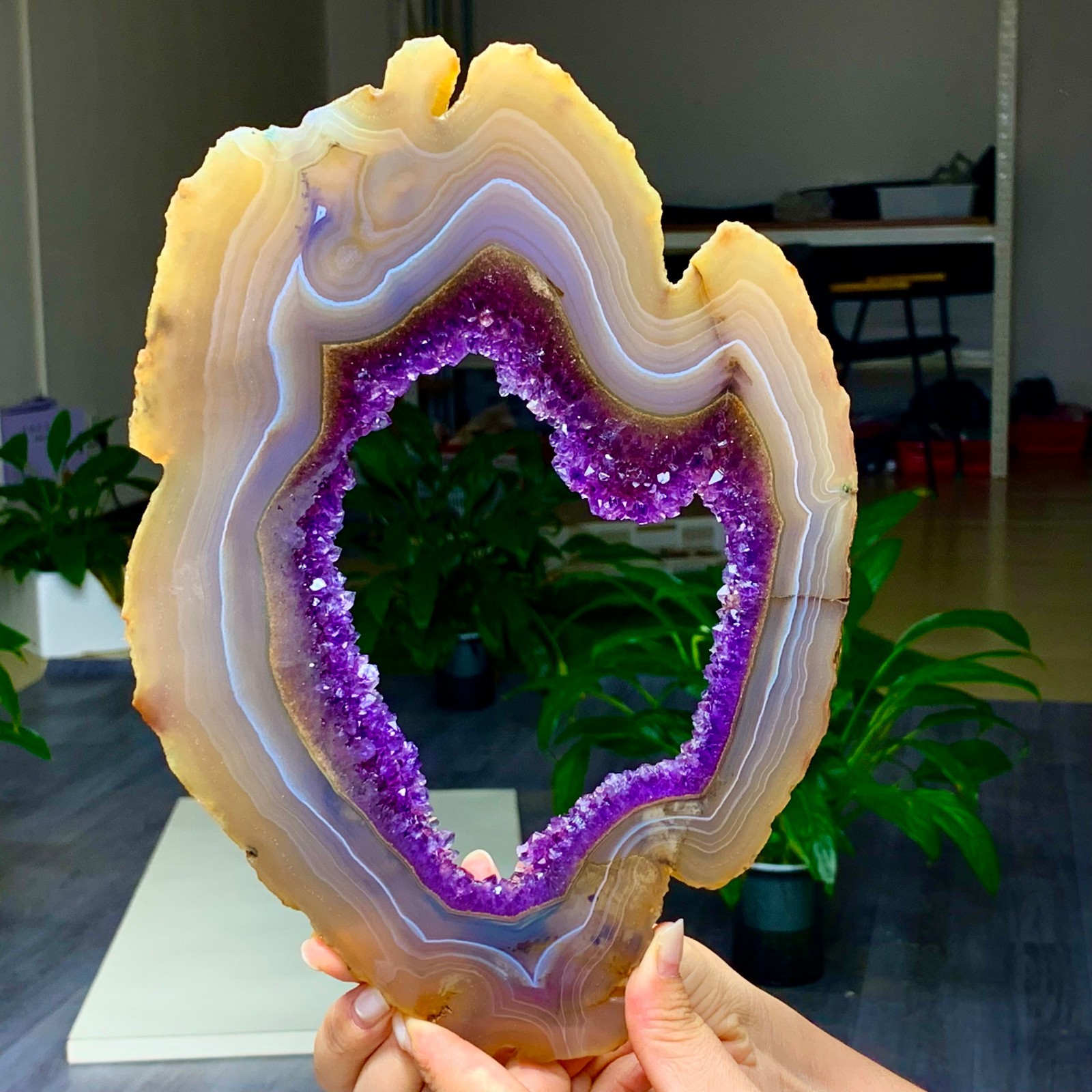 1.52LB Natural Amethyst agate  slice quartz cluster crystal specimen /Brazil