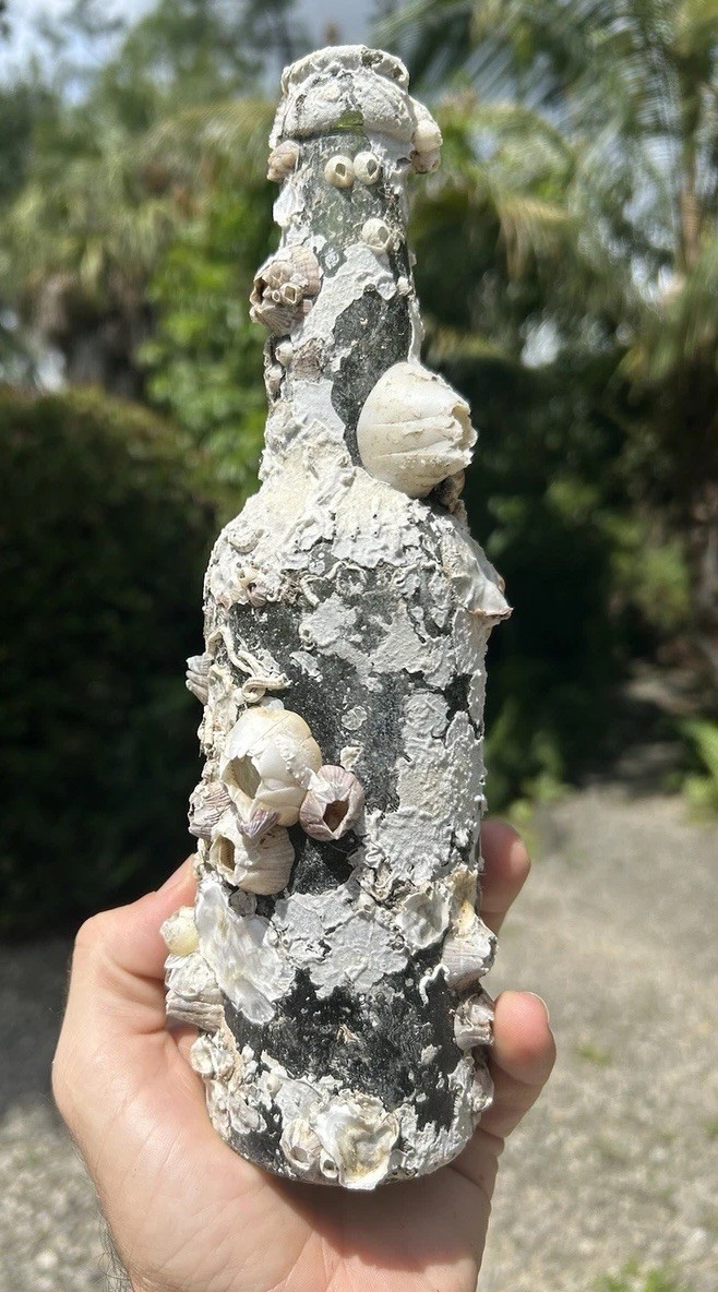 Shipwreck Barnacle Bottle With Coral 1800’s Antique Black Glass Bottle