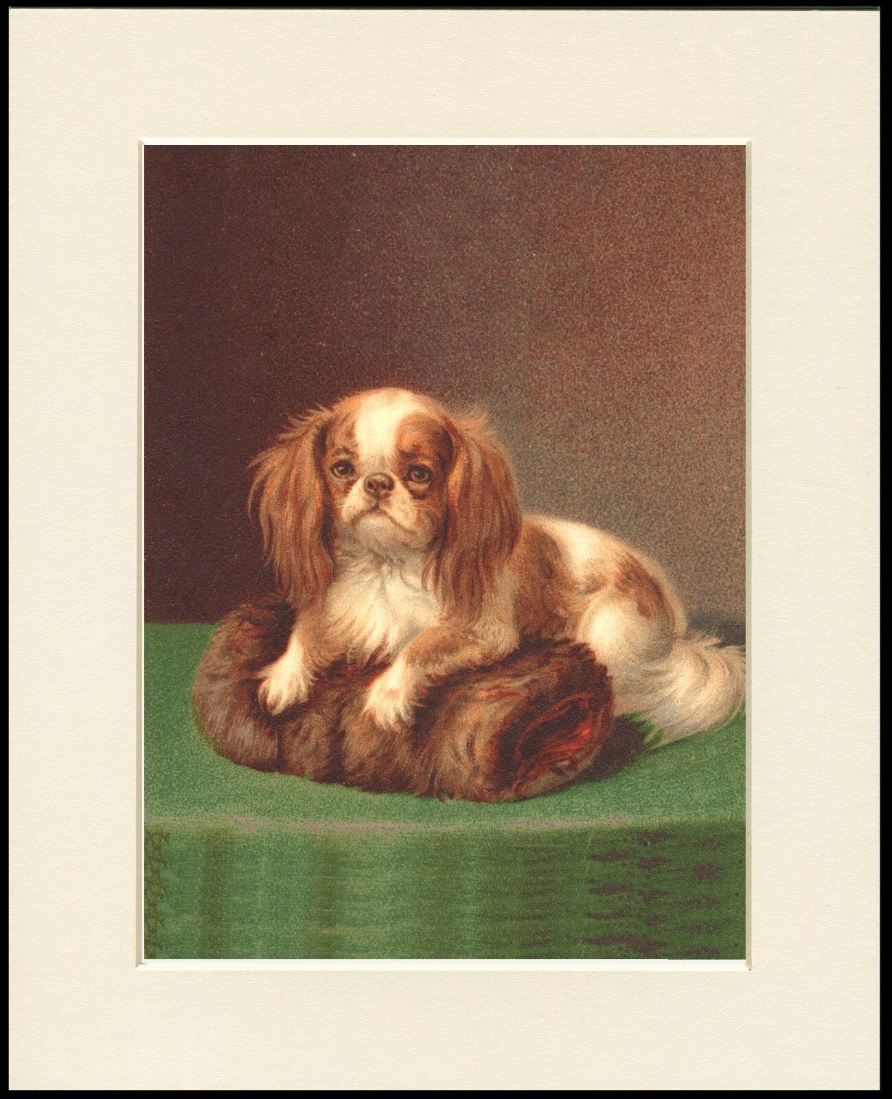 CAVALIER KING CHARLES SPANIEL LOVELY DOG PRINT READY MOUNTED