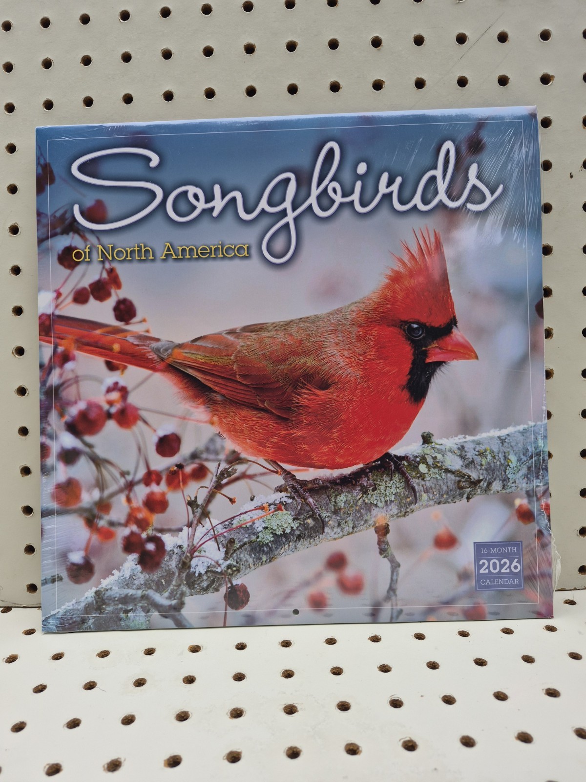Sellers Publishing Songbirds of North America 2026 16-Month Calendar