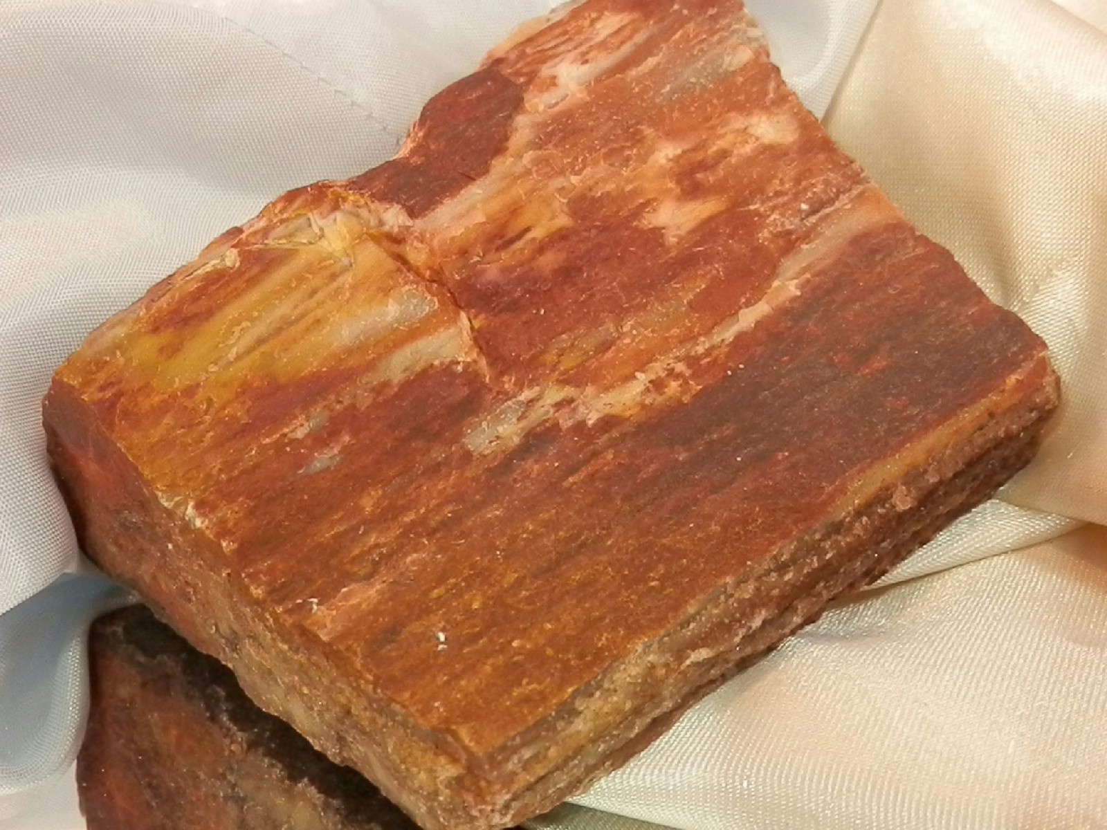 Wonderful Unique One Of A Kind Peterified Wood Chunk Paperweight  WOW 247F7