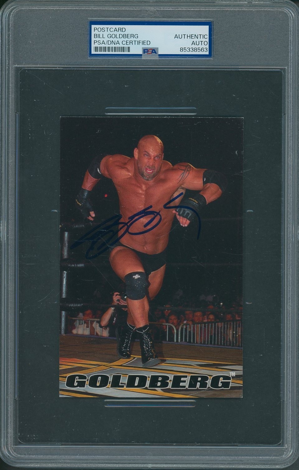 Bill Goldberg Signed Postcard PSA/DNA Certified Authentic Autograph *8563
