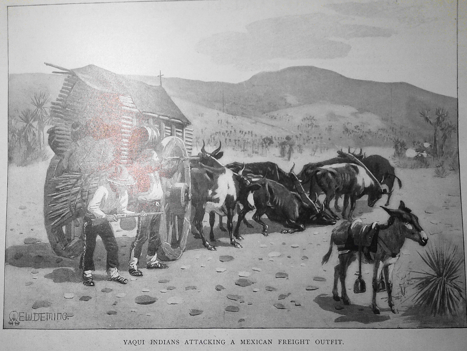 Yaqui Indians attacking a Mexican freight outfit - Harper\'s Weekly 1900 original