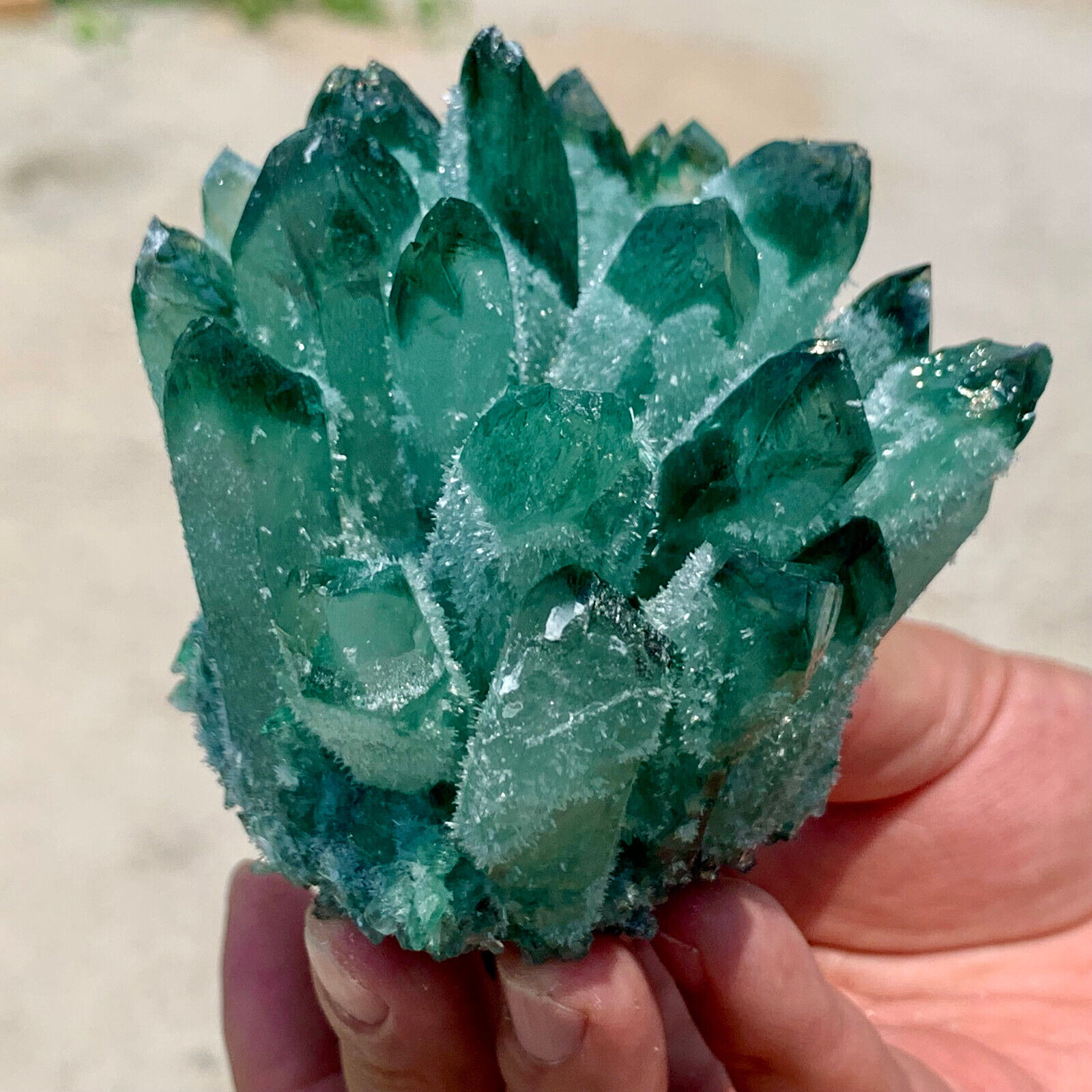 430G  newly discovered mineral specimen of green Phantom Quartz Crystal Clus