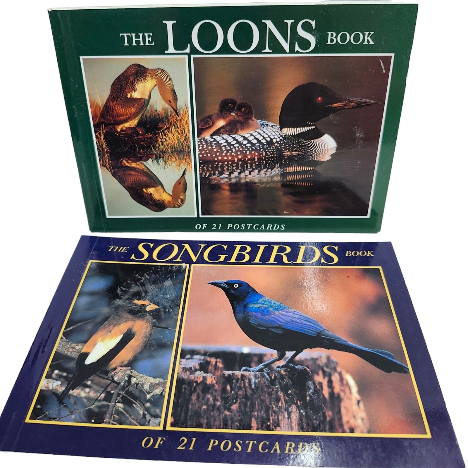 The Loons and The Songbirds A Book of 21 Glossy Postcards Lot of 2 Vintage 1996 The Loons and The Songbirds A Book of 21 Glossy Postcards Lot of 2 Vintage 1996