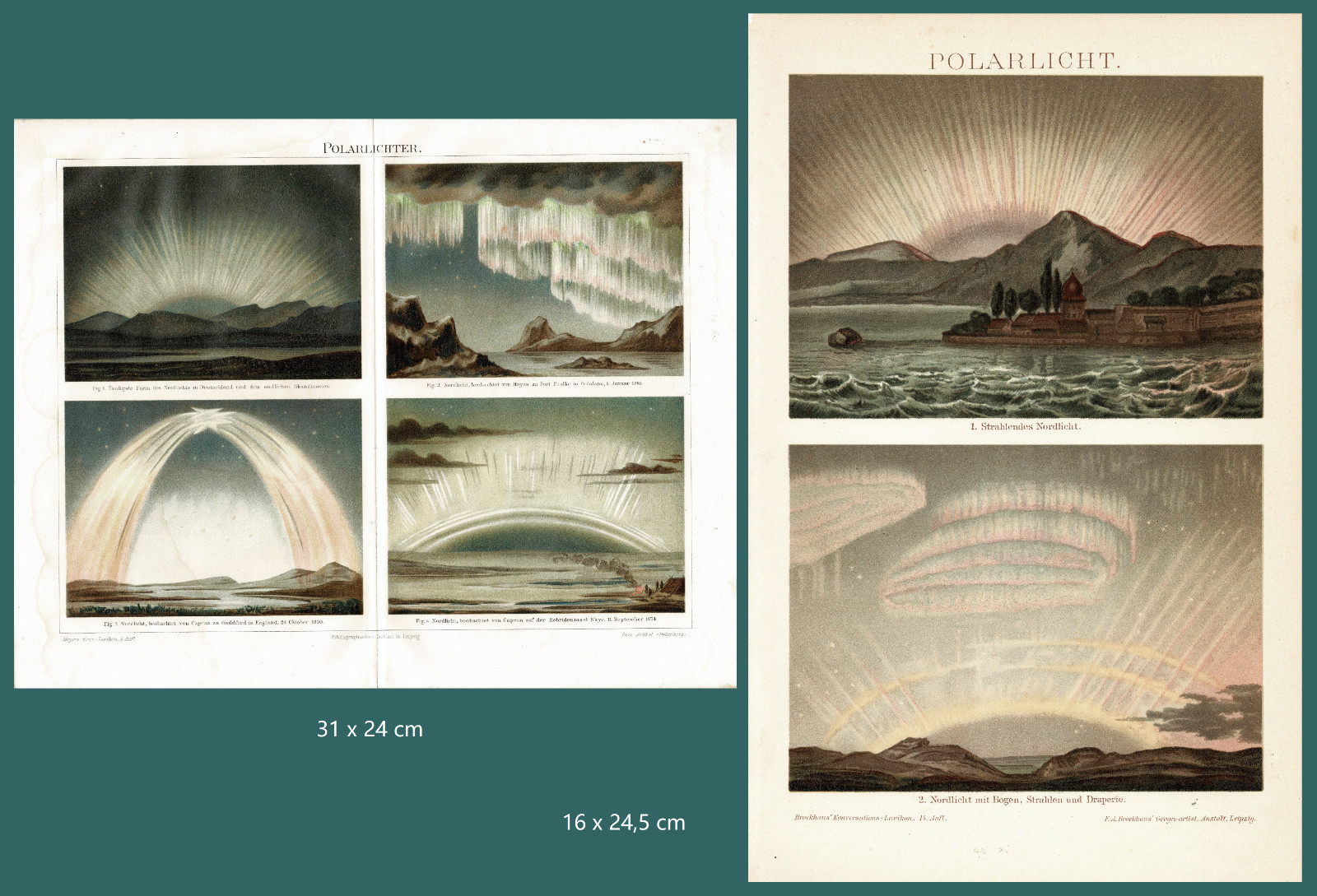 3 Antique Chromolithographs with Birds c. 1900