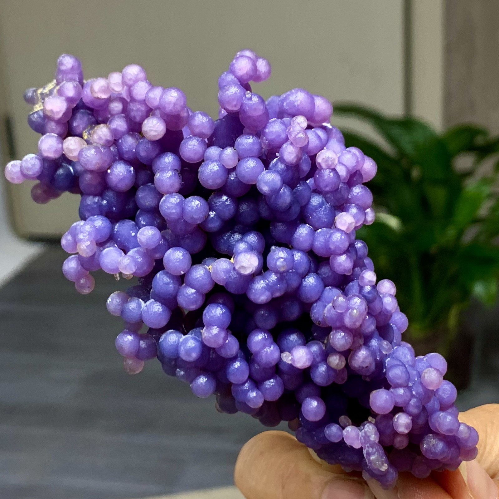 177G Natural purple grape agate quartz crystal granular mineral specimen-