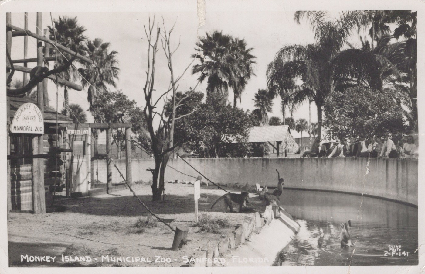 Sanford FL Monkey Island Municipal Zoo Florida 1952 - RPPC Photo Postcard