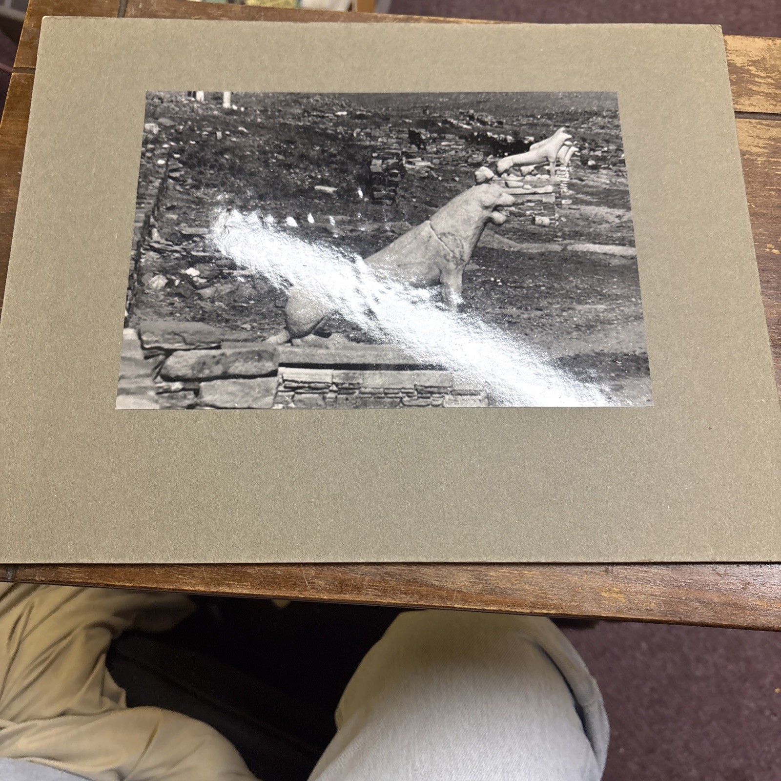 Lion Terrace from the North Delos Greek Architecture Mounted VTG Photo Greece