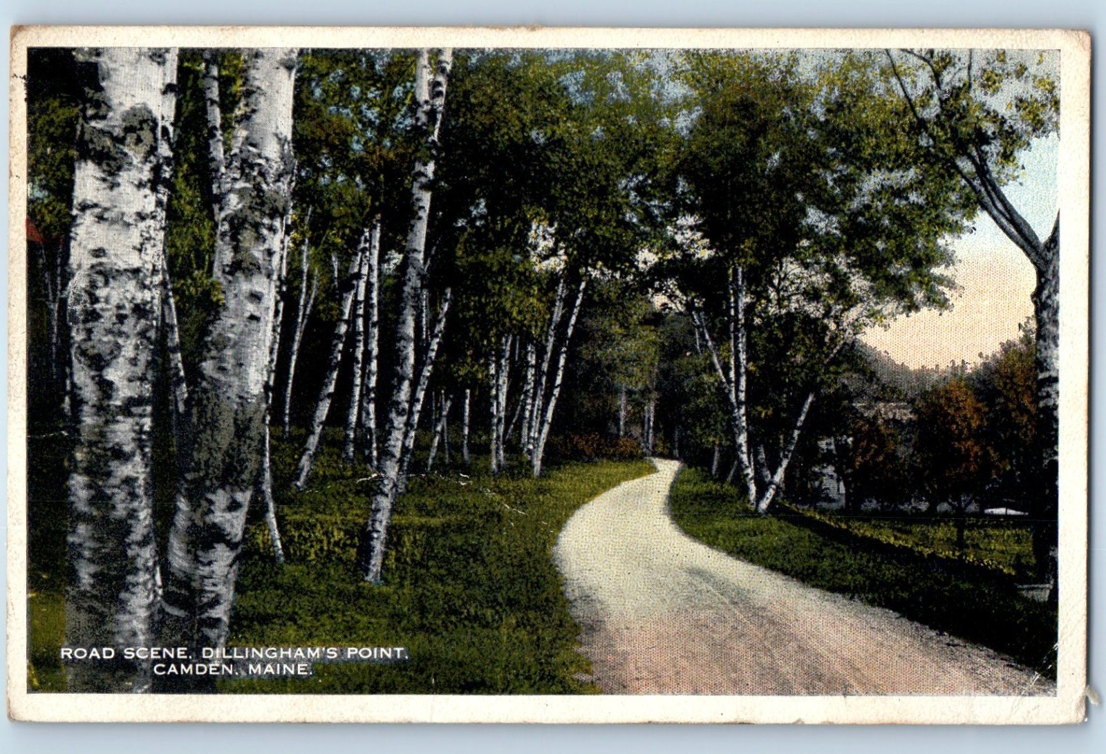 c1916 Camden Maine ME Vintage Postcard Road Scene Dillingham's Point Tree Posted