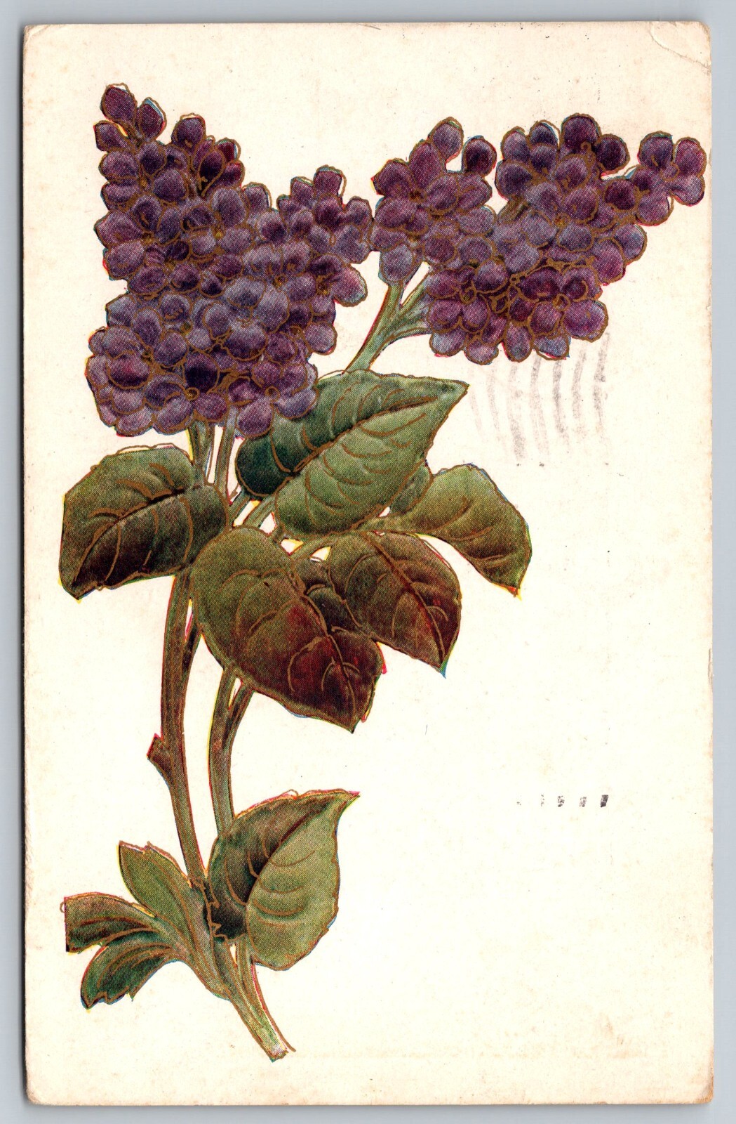 Postcard C 255, Purple Flower, c1907
