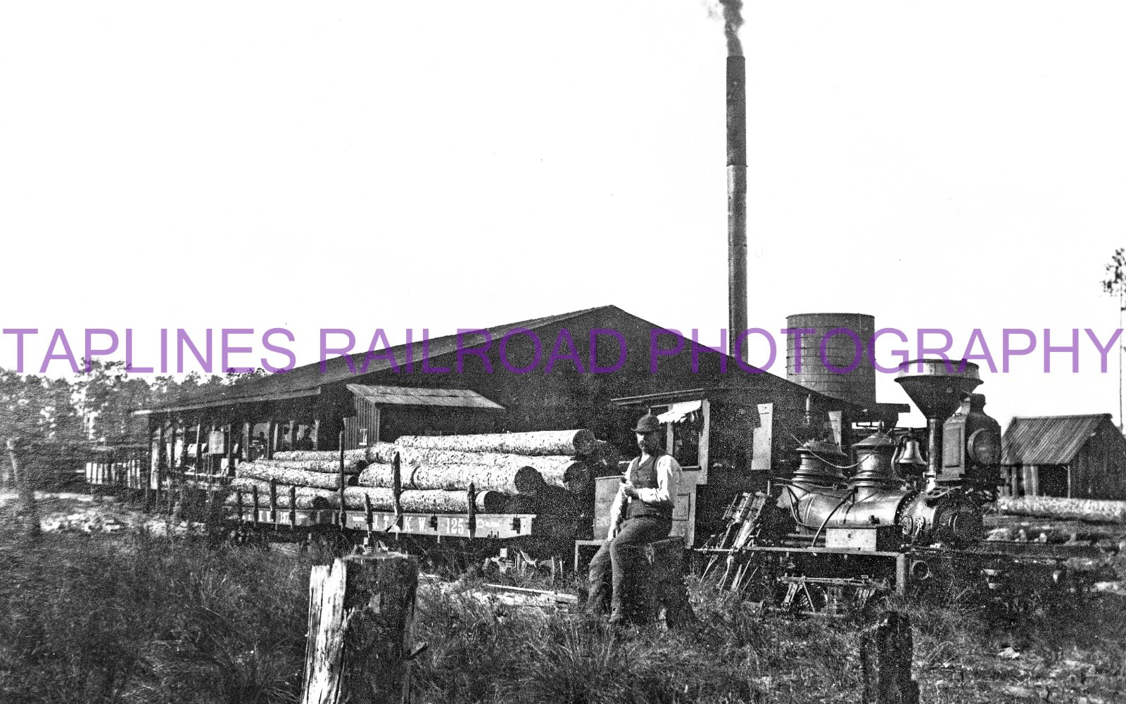 Bond Lumber Co. Shay at Glenwood, FL Circa 1895 Lima #272 - TWO NEW 5X8 PHOTO