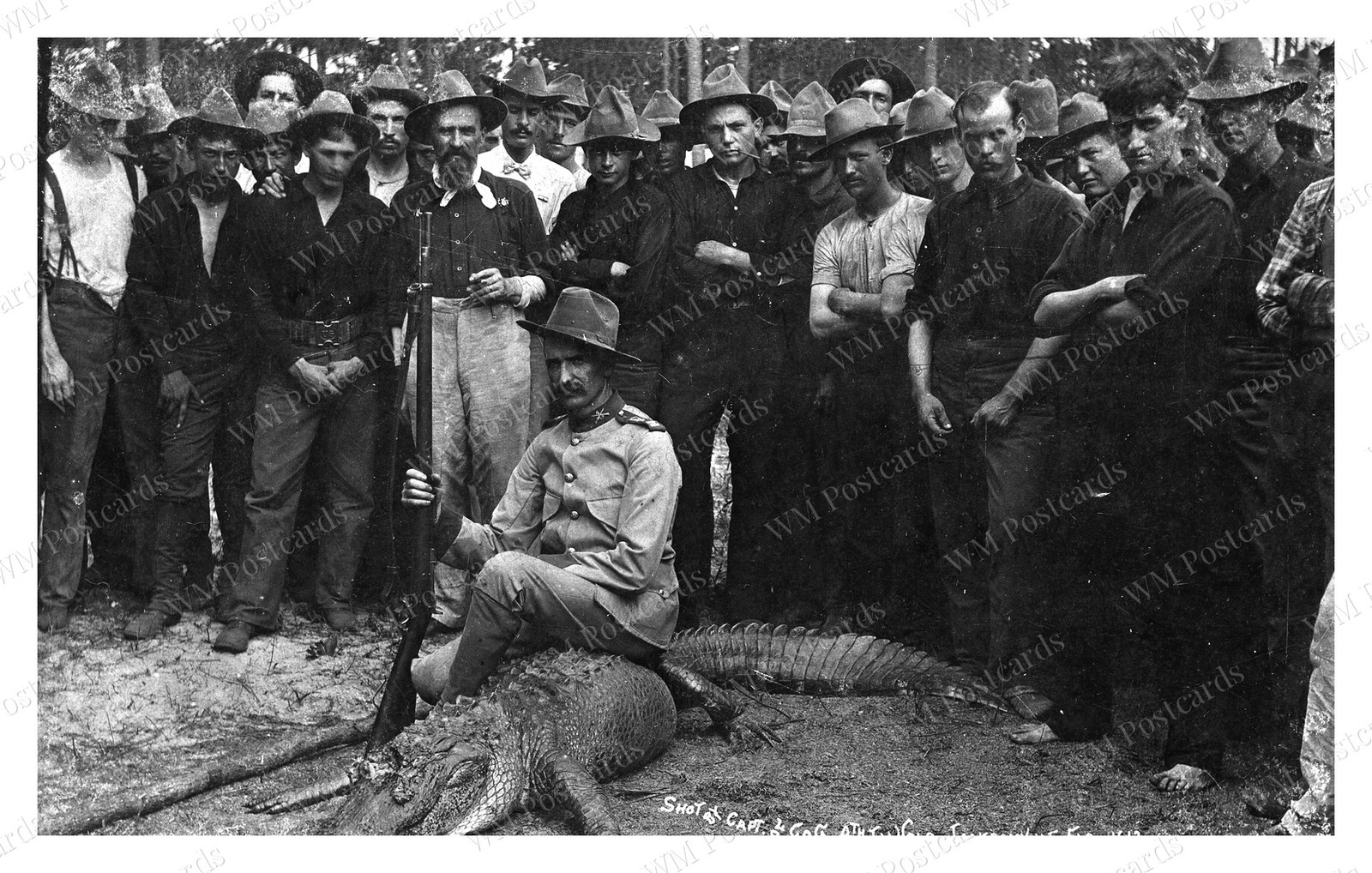 Jacksonville Florida 1898 Alligator 4th Illinois Captain Standard Postcard Jacksonville Florida 1898 Alligator 4th Illinois Captain Standard Postcard
