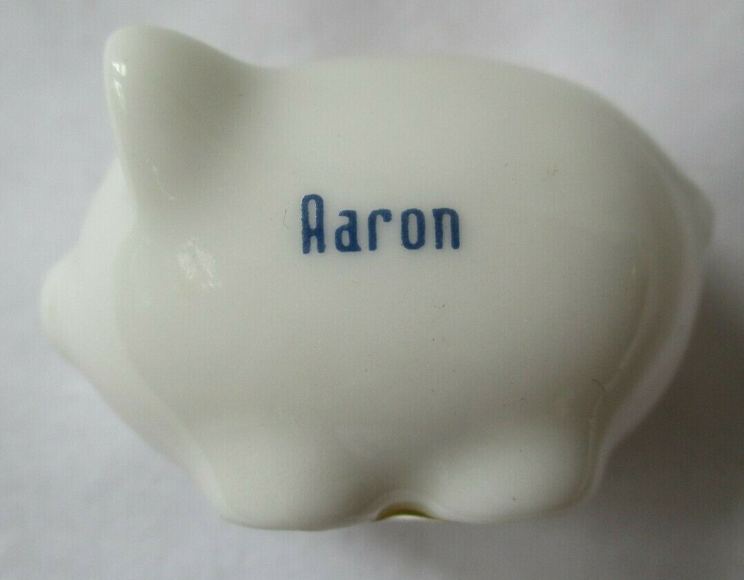 LUCKY PENNY PORCELAIN MINIATURE PIGGY BANK - AARON