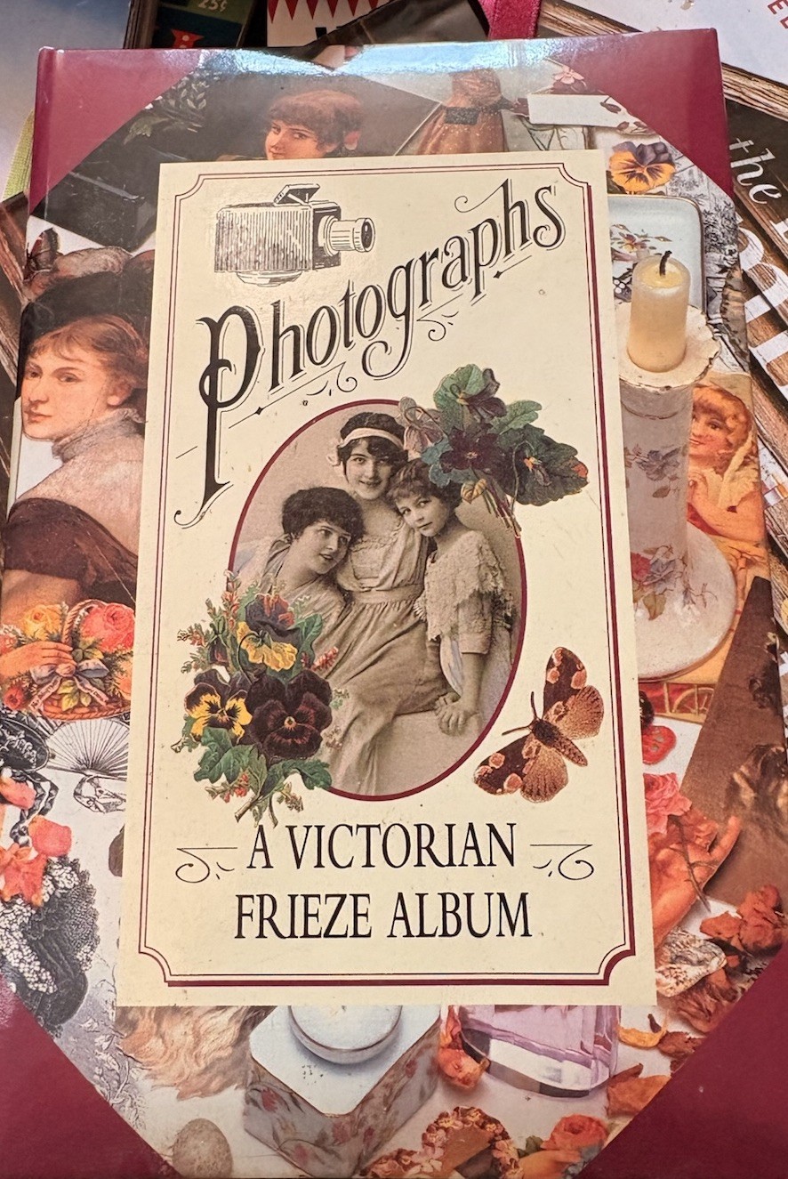 Vtg VICTORIAN Style Frieze Photo / Photographs Album 1998 Foldout Pages Vtg VICTORIAN Style Frieze Photo / Photographs Album 1998 Foldout Pages