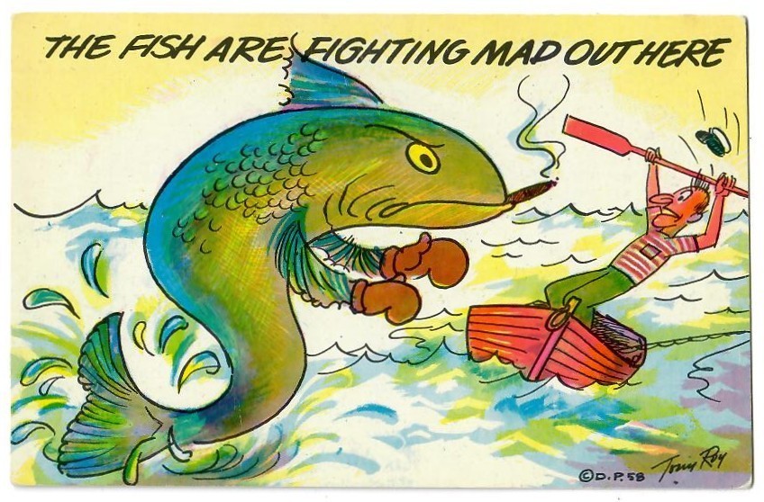 Vintage Humorous Fighting Mad Fishing Litho Postcard Vintage Humorous Fighting Mad Fishing Litho Postcard