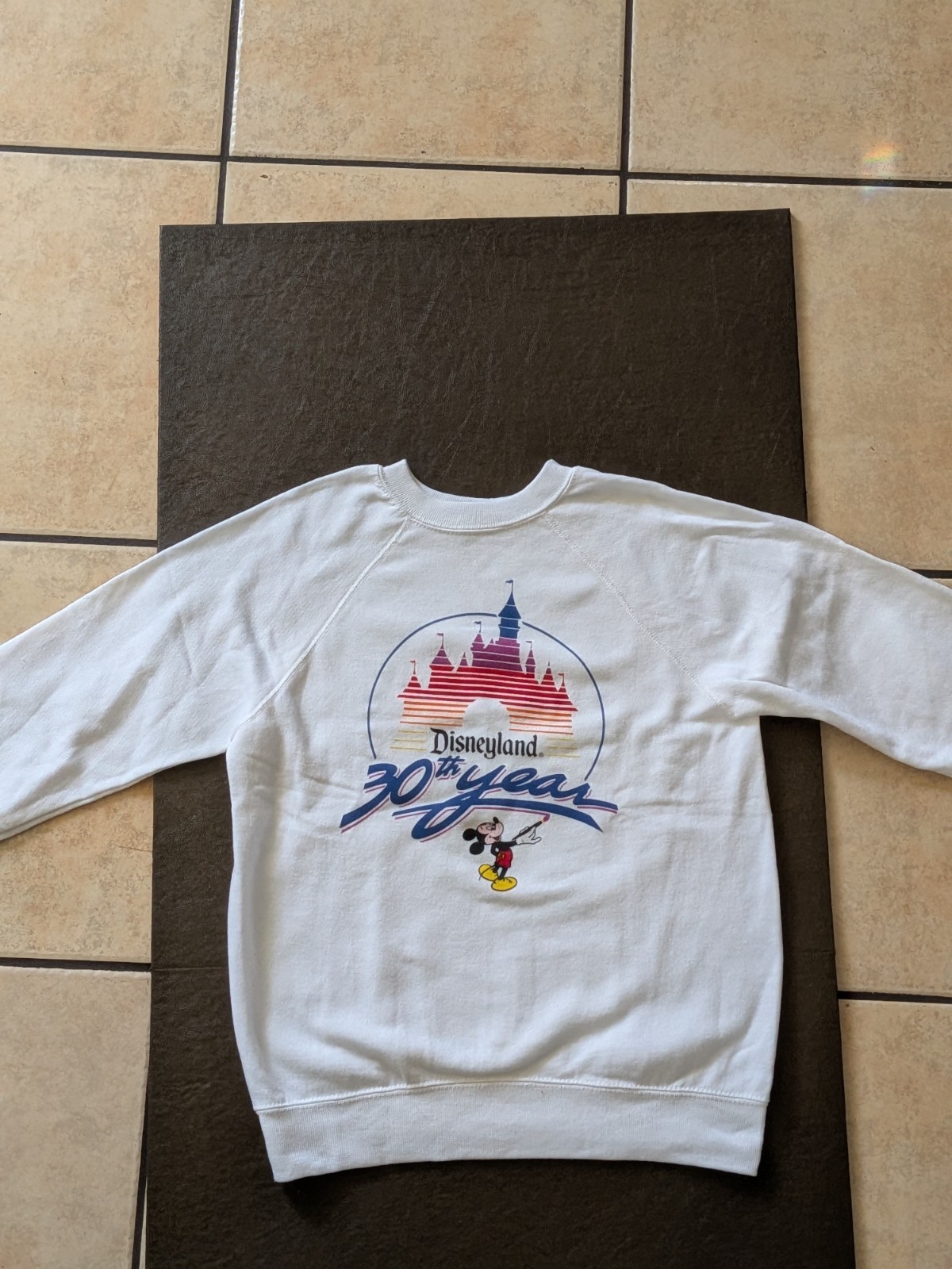 Vintage Disneyland 30th Year Anniversary Sweatshirt / Sweater Adult Size Large