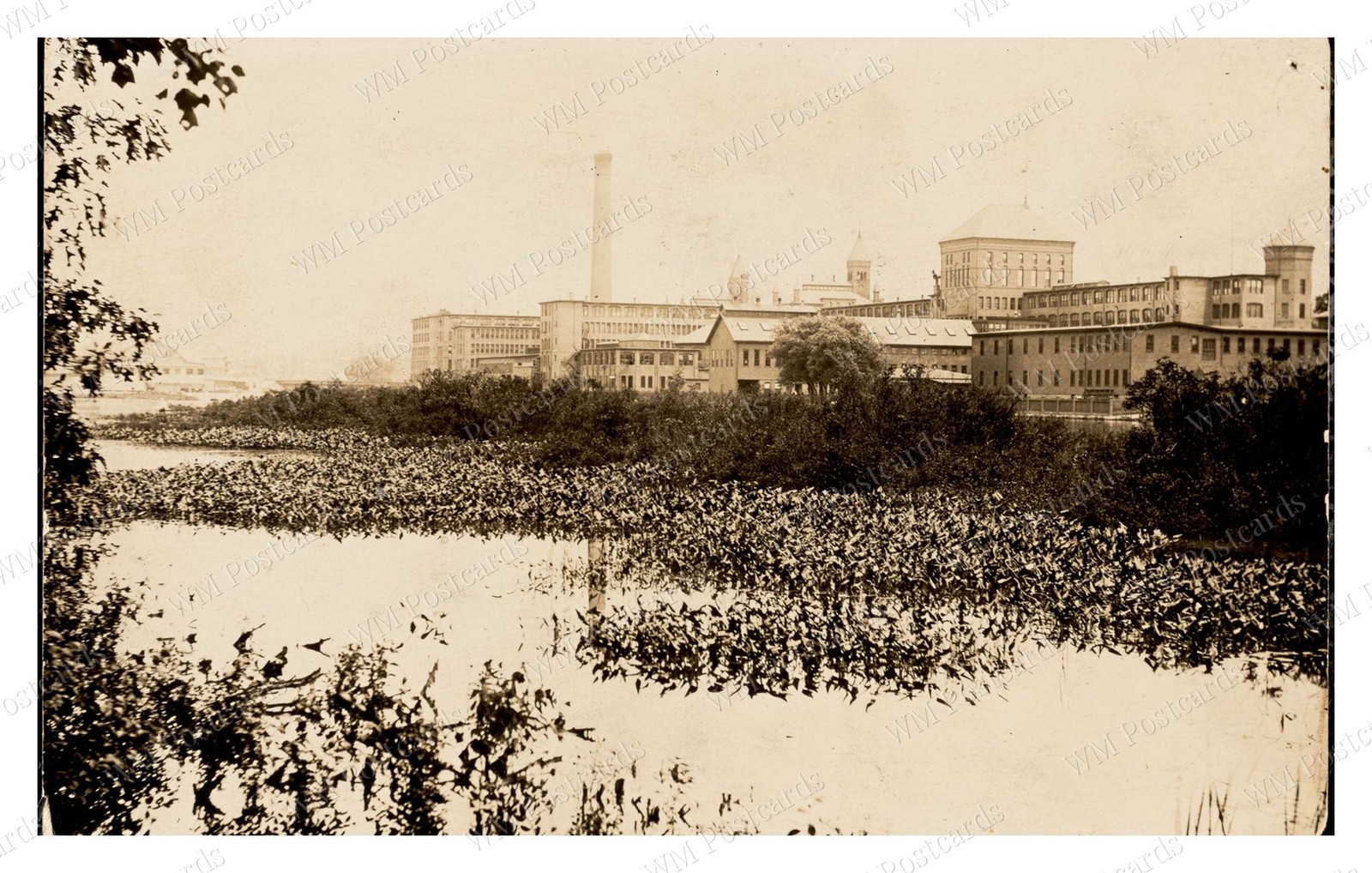 Waltham Massachusetts circa 1900s Watch Factory Charles River Standard Postcard