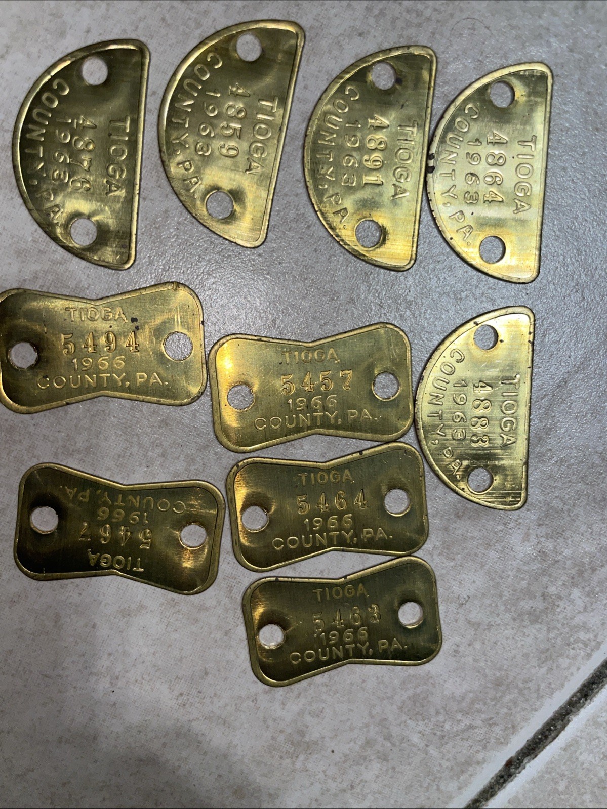 10-Vintage 1963 & 1966  Tioga County, Pa., Brass Dog Tag, Tax, License (BLANK)