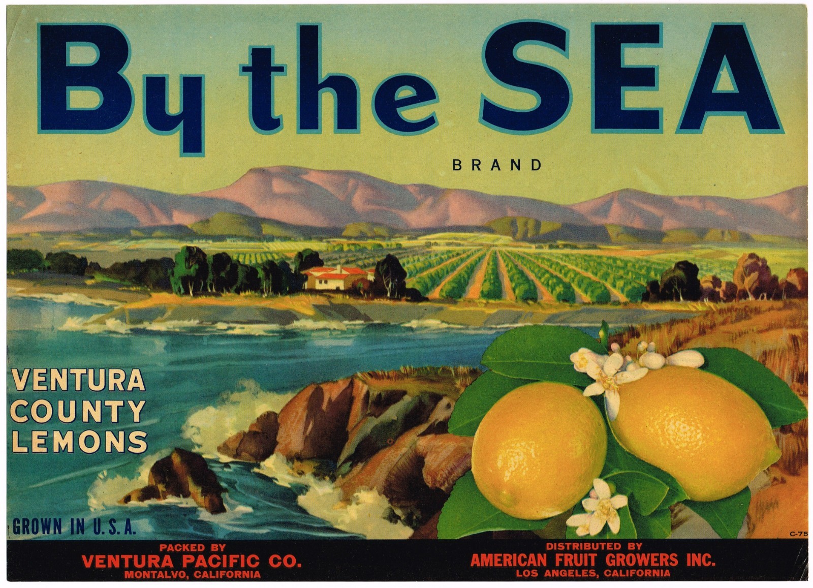 ORIGINAL LEMON CRATE LABEL VINTAGE VENTURA COUNTY MONTALVO 1940 RARE BY  THE SEA