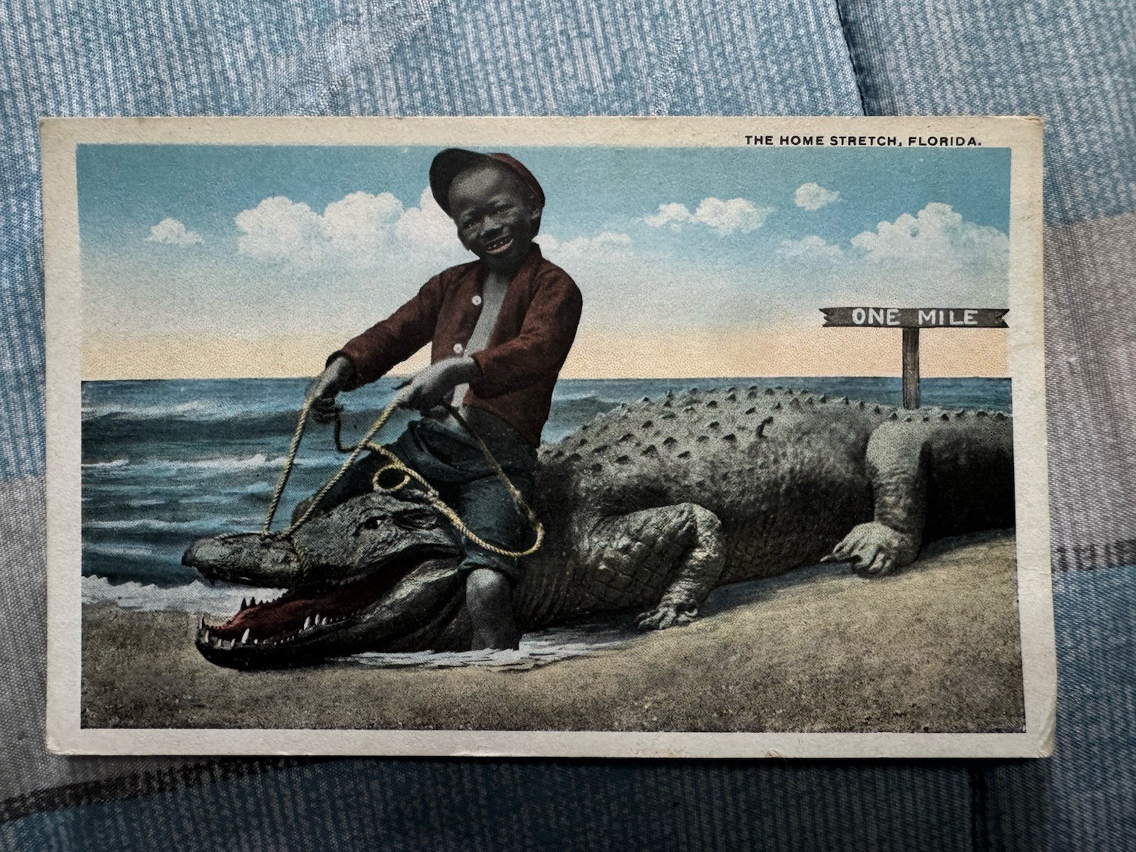Vintage 1910s The Home Stretch Florida Alligator Black Americana Postcard 