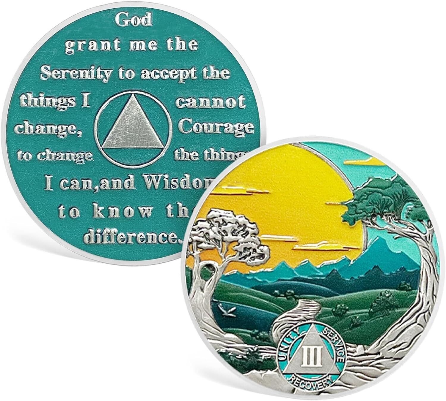 3 Year Sobriety Chip Sobriety Coin Sobriety Gifts AA Recovery Medallions Gifts