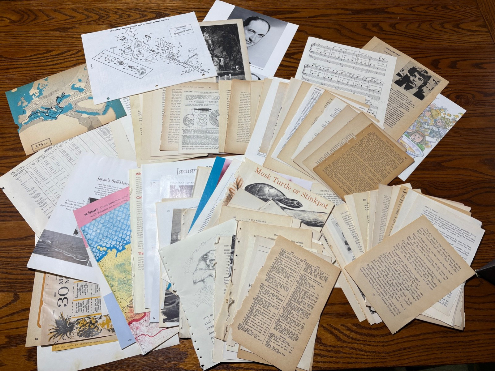 100 Page Vintage Lot Old Book Ephemera Pack ,Junk Journal, Paper Craft,1852-1991