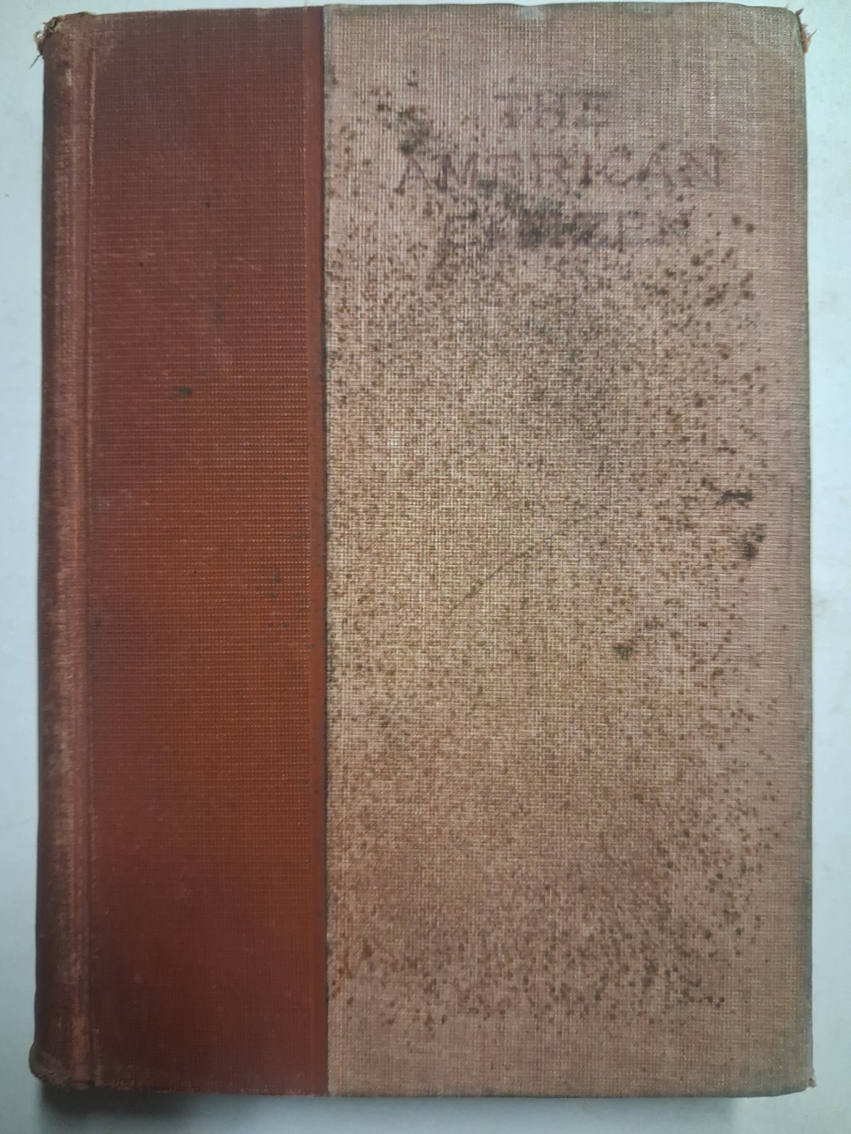 1895 THE AMERICAN CITIZEN Charles DOLE High School STUDENTS Victorian