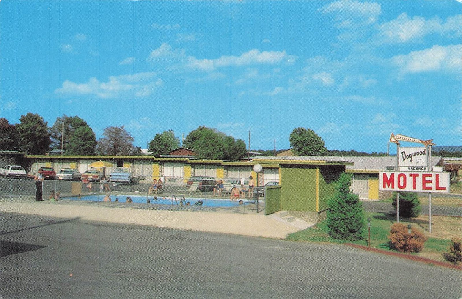 Dogwood Motel Swimming Pool Mountain View Arkansas People Postcard