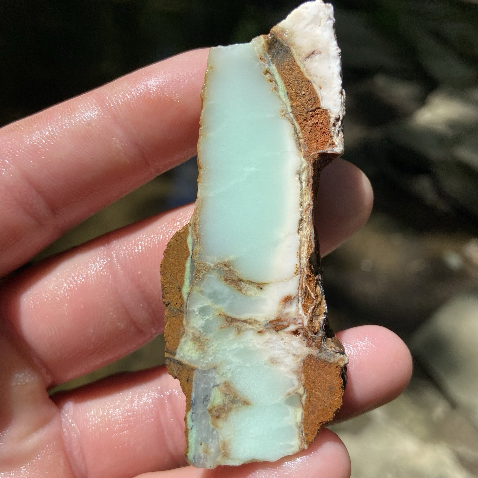 Chrysoprase Rough Slab Stunning Pastel Blue 45 Grams